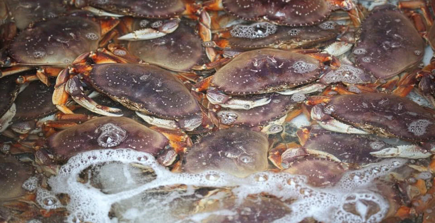 Crab2_Use.jpg