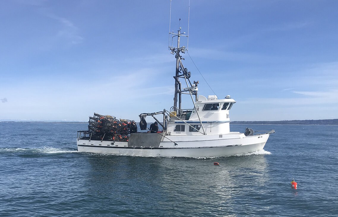 AmberLynn_Ourseafood.jpg