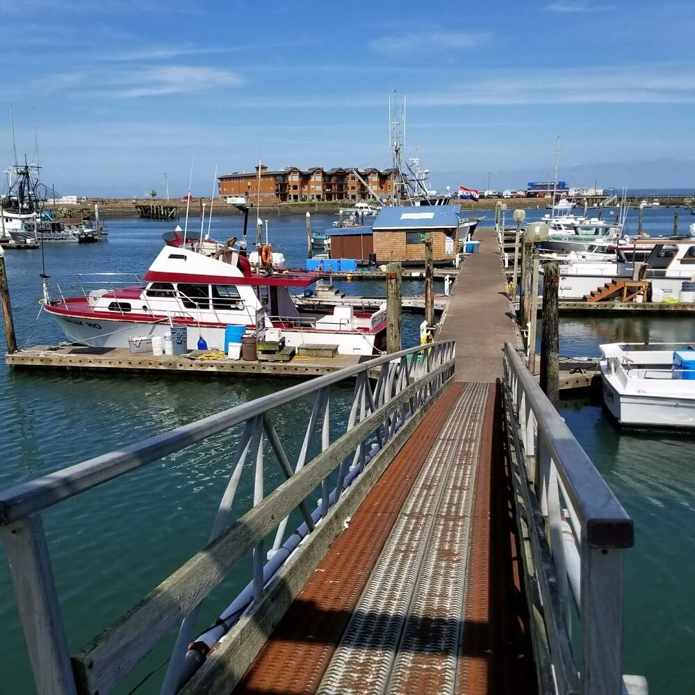 Seafood Connection2.jpg