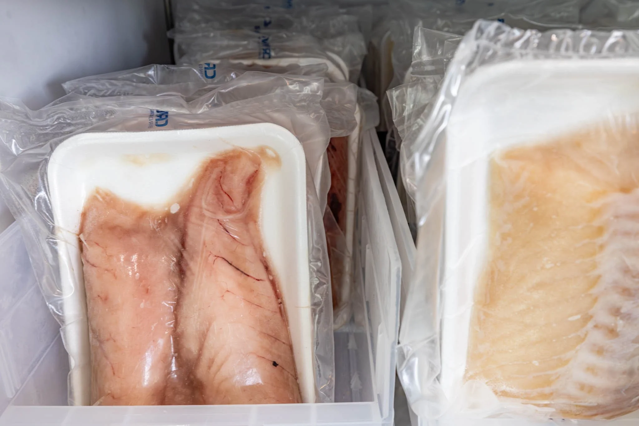 seafoodconnection-freezer-pack-tuna-halibut-2026-adventuringduo-1.jpg