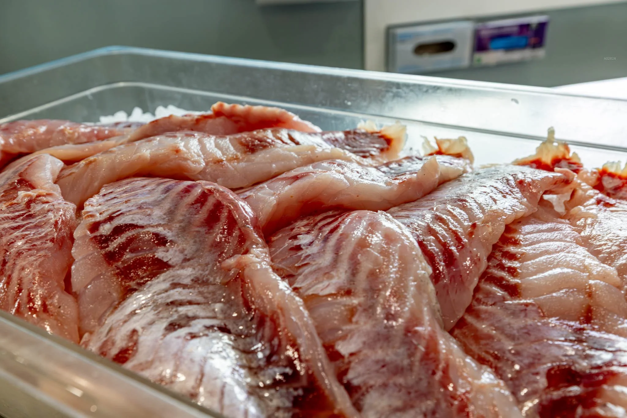 seafoodconnection-fresh-fish-rockfish-2026-adventuringduo-1.jpg