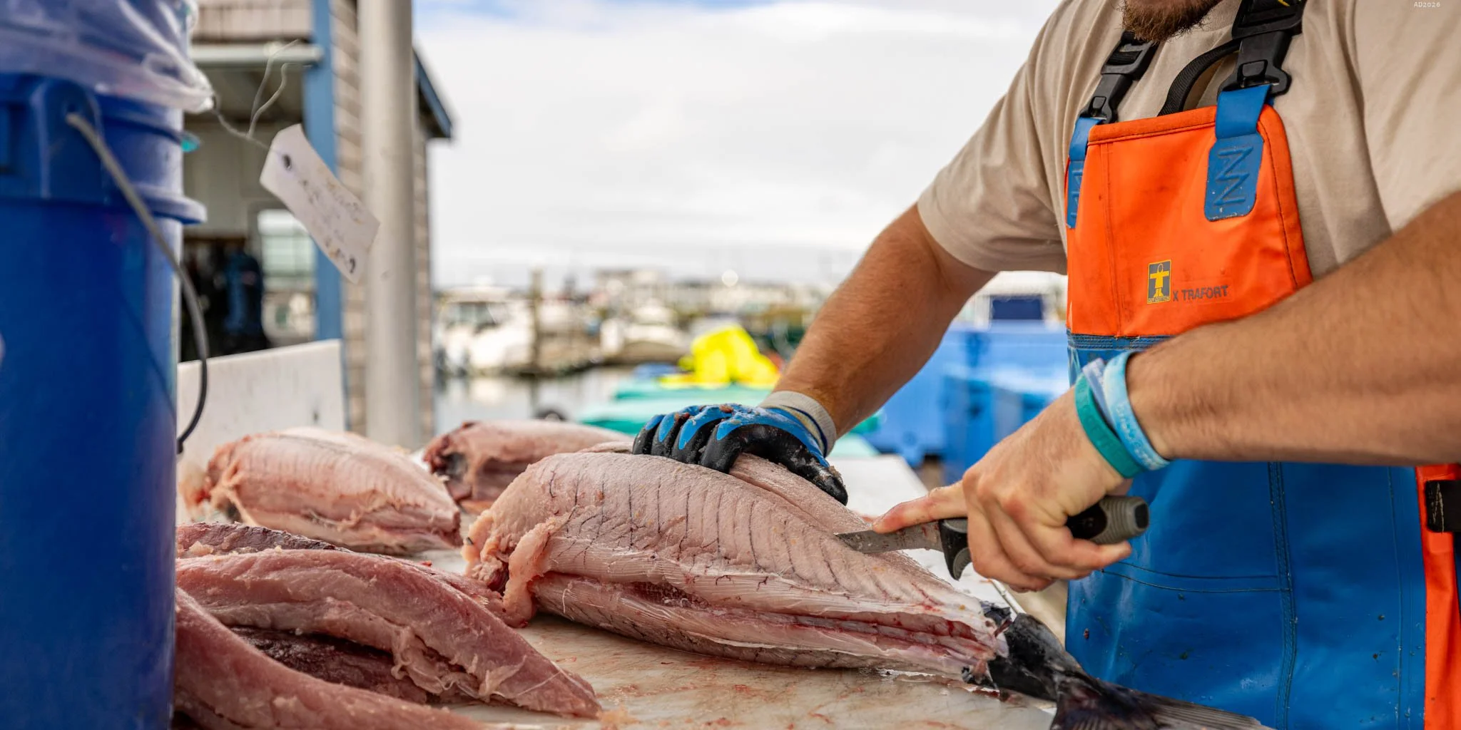 seafoodconnection-tuna-cutting-2026-adventuringduo-1.jpg