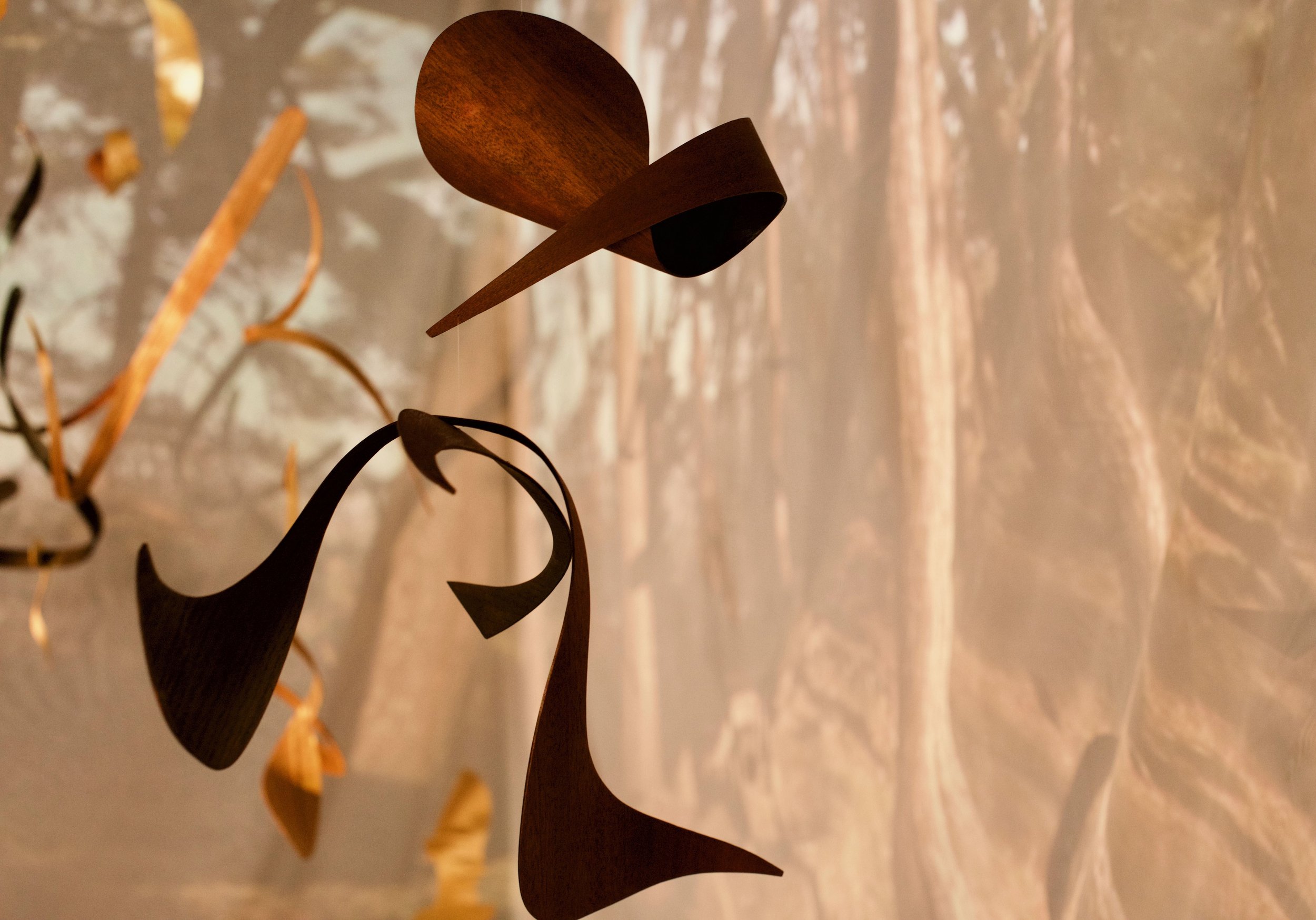 Windermere Jetty selected - 1 of 8.jpg