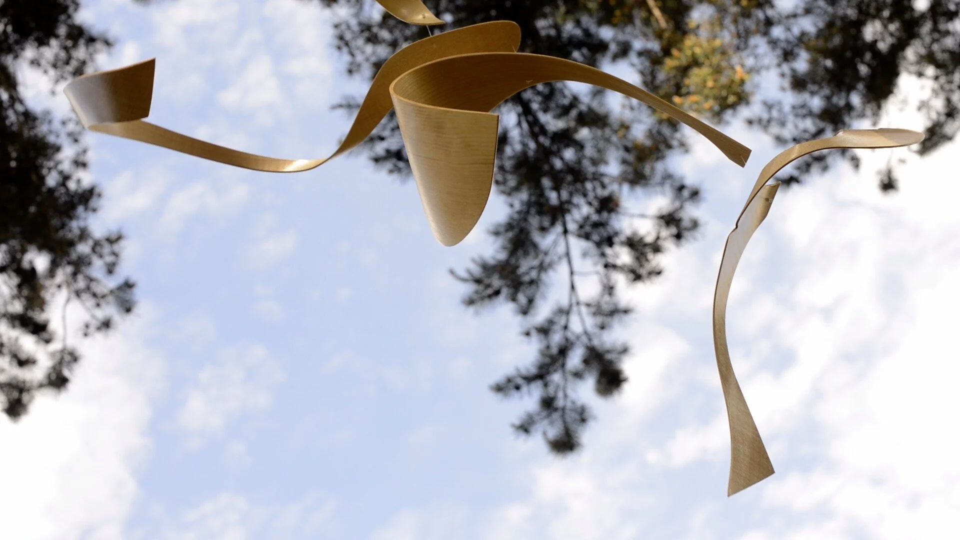 still from frame 9.jpg