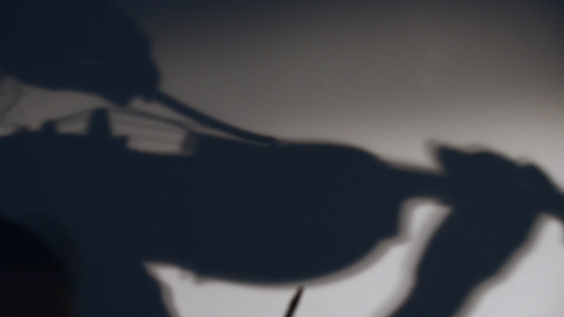 P39 The shadows of  music 4.jpg