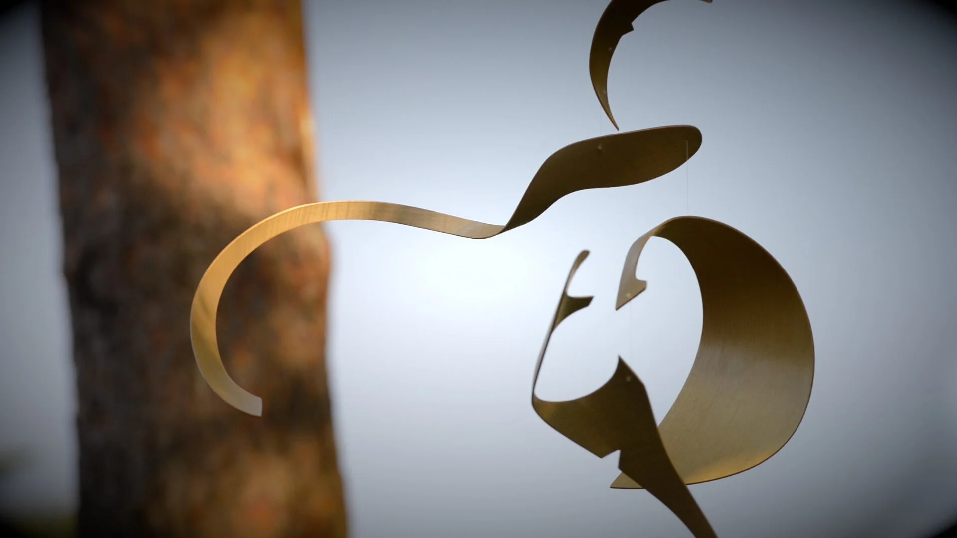 still from frame 2.jpg