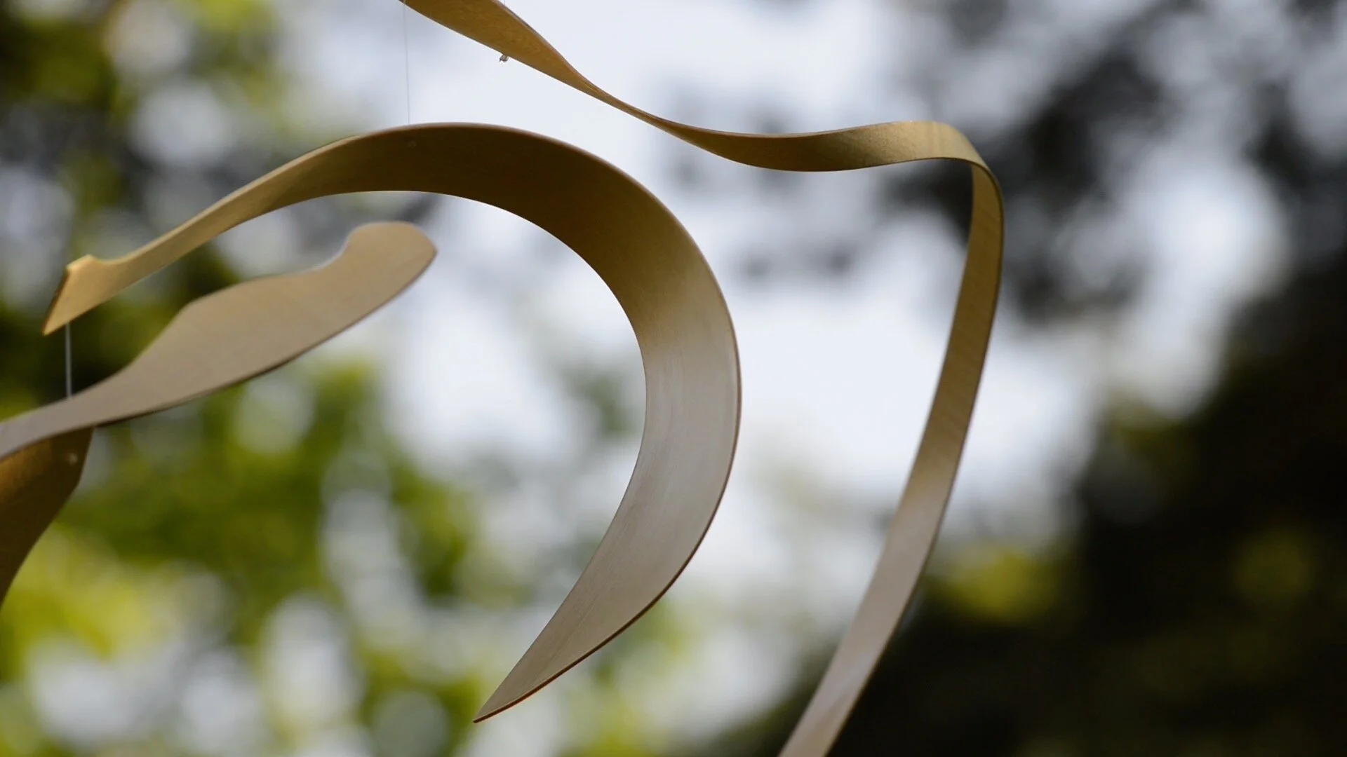 still from frame 11.jpg