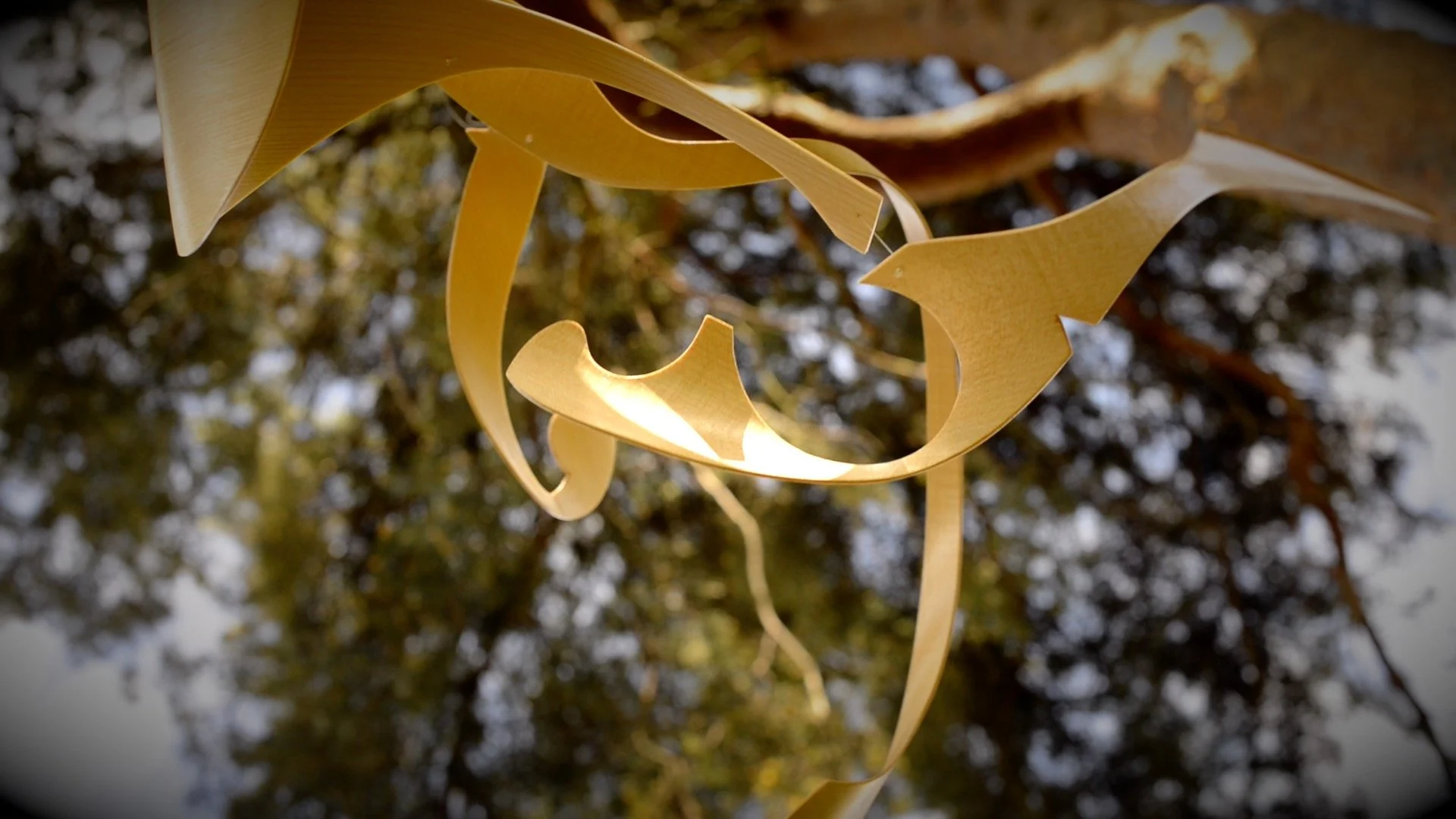 Page 5 or 7 still from frame 3.jpg