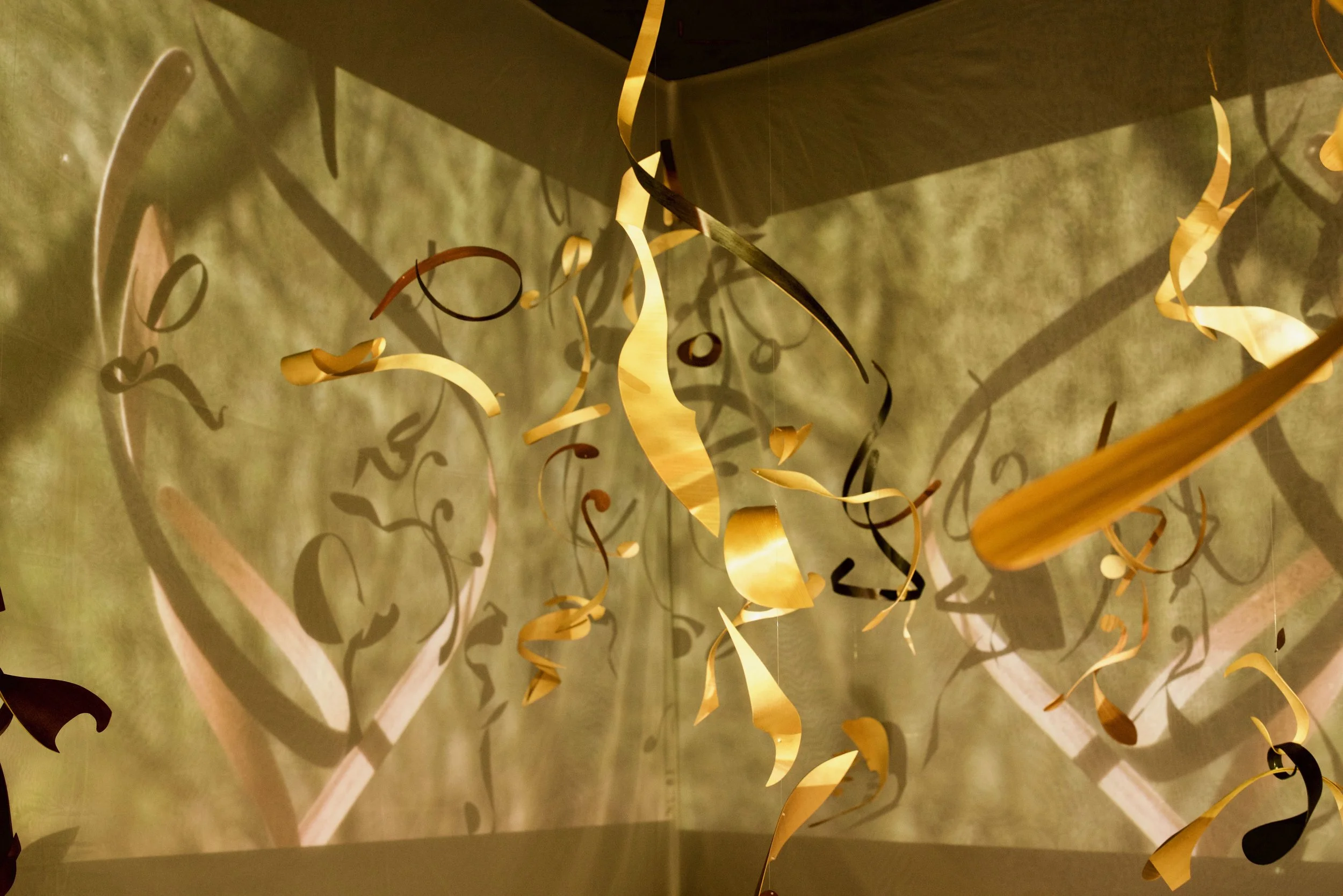 Windermere Jetty selected - 1 of 8 (5).jpg