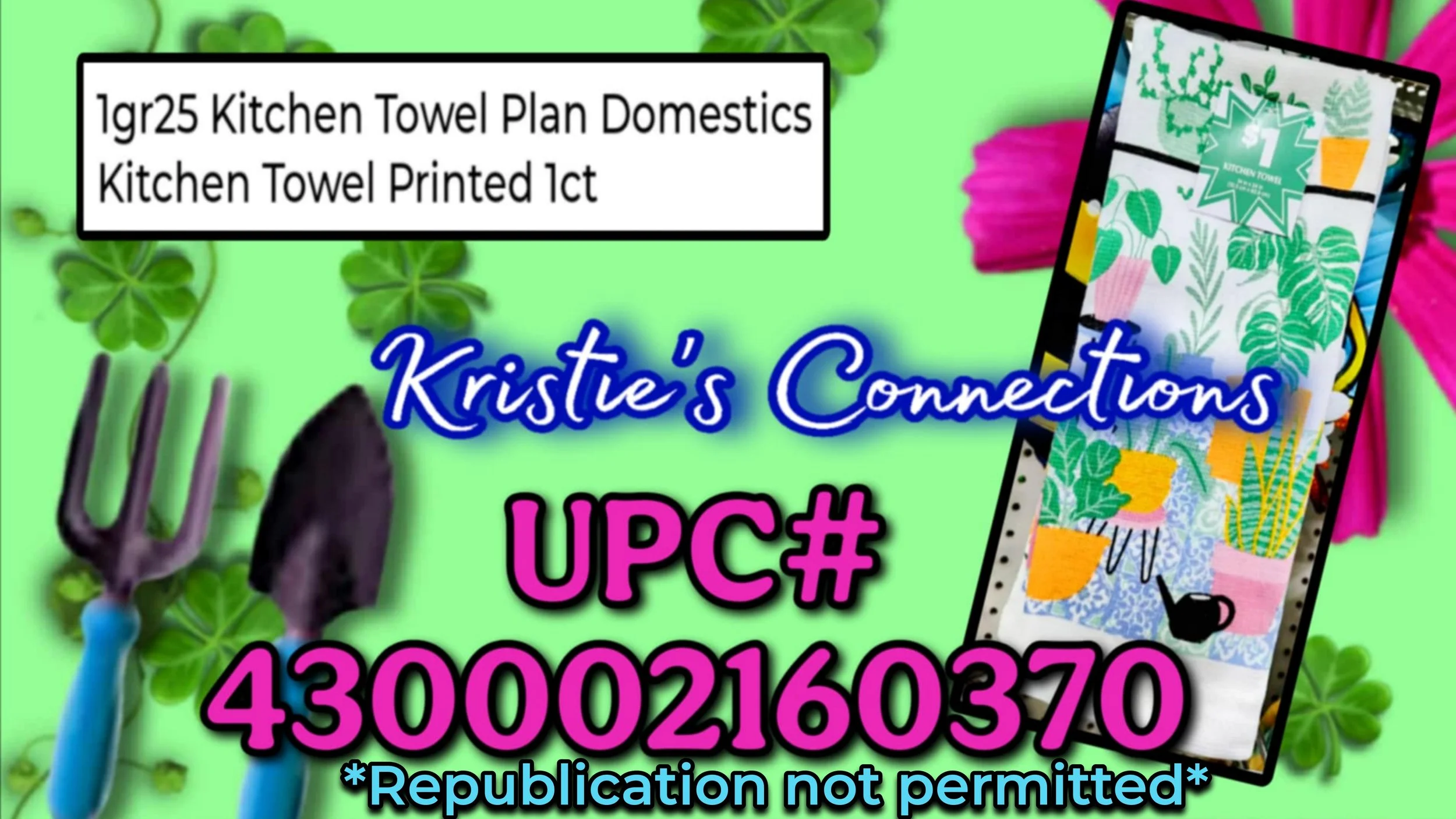 1000379697.jpg