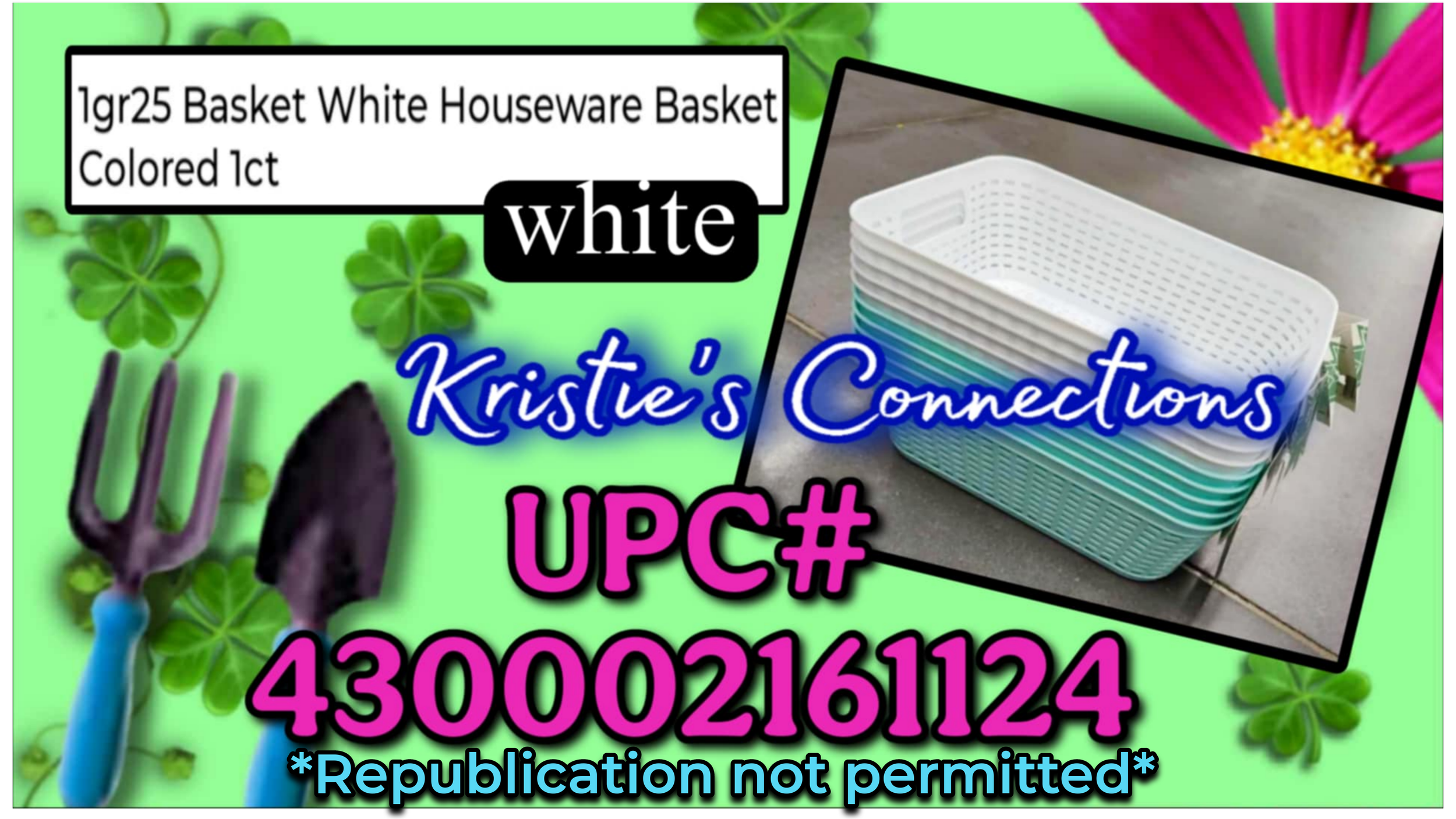 1000379701.png