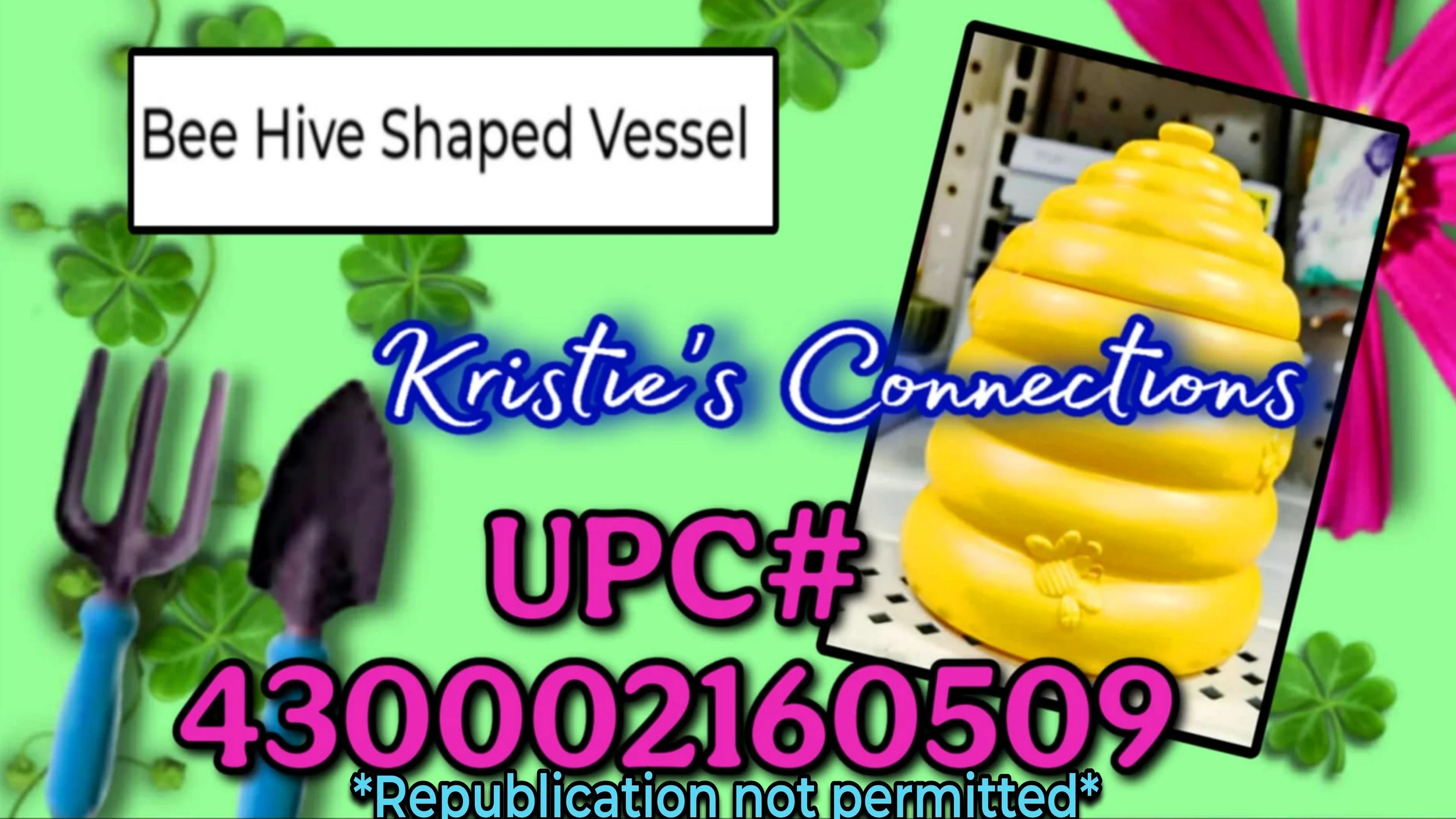 1000379765.jpg