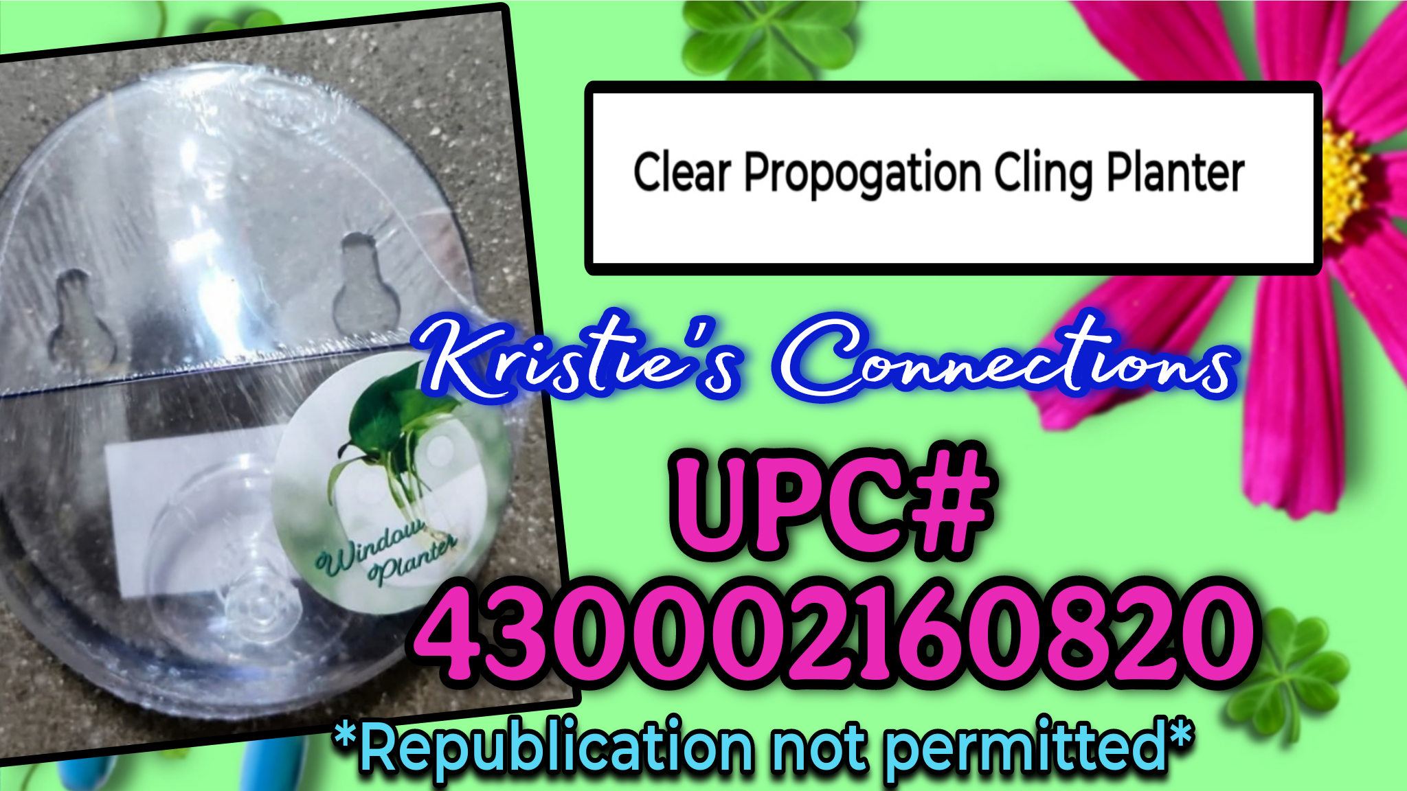 1000380024.png
