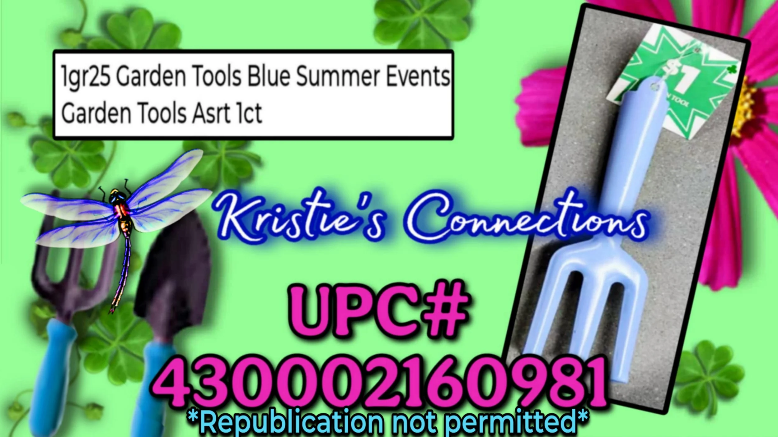 1000379734.jpg