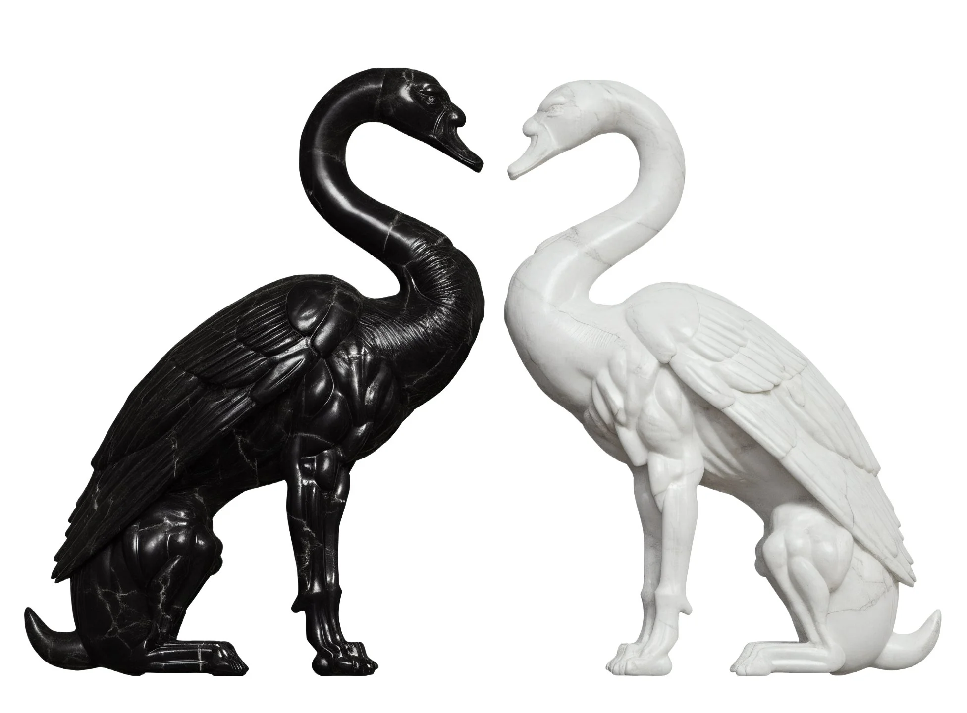 BLACK SWAN - 27.03.2026