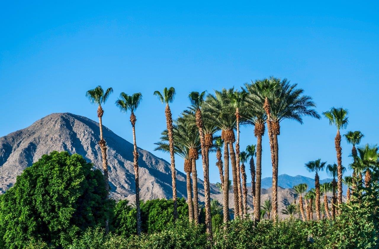 Palm Springs 2.jpg