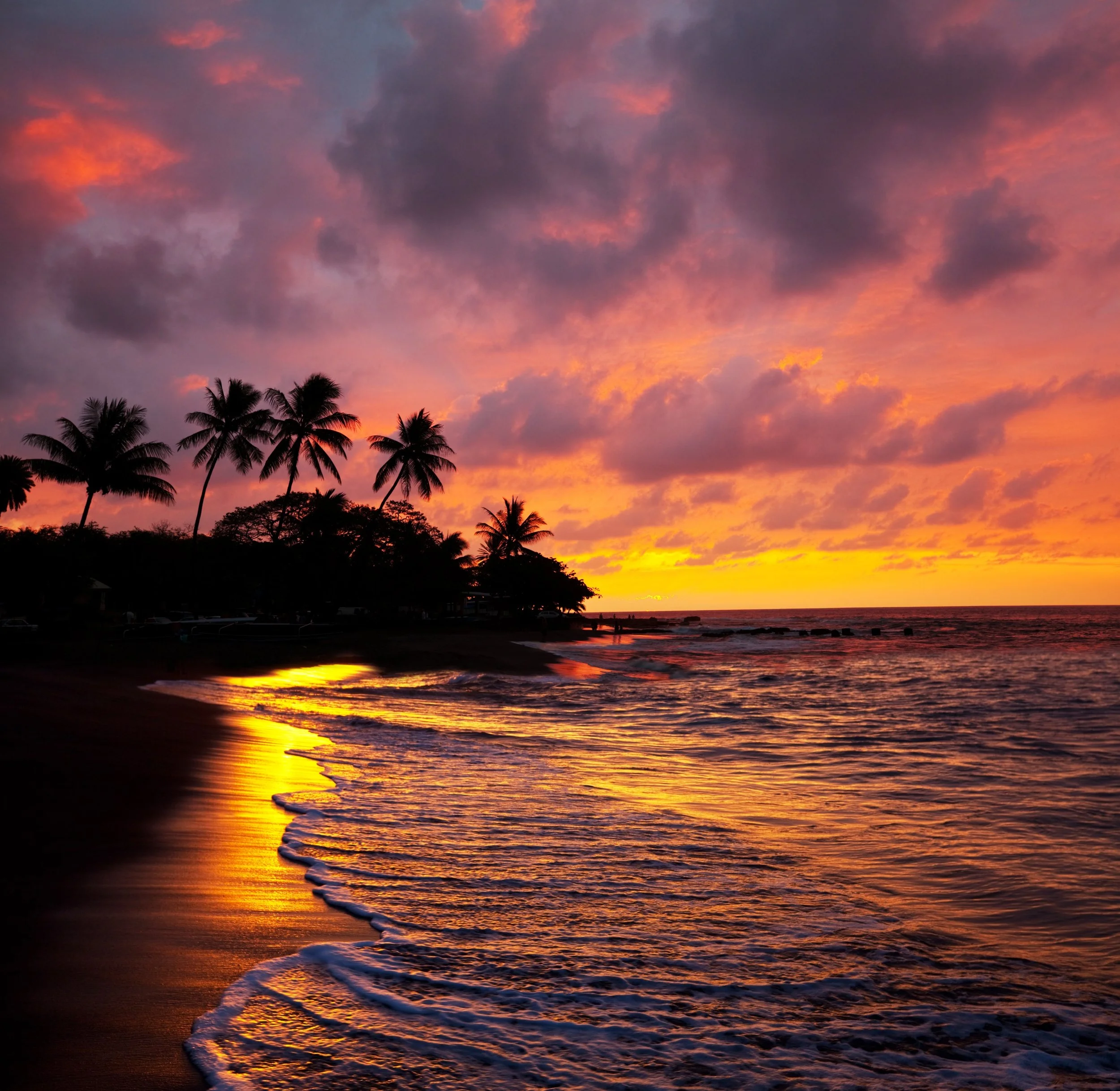 Beach at sunset with palm trees.jpg