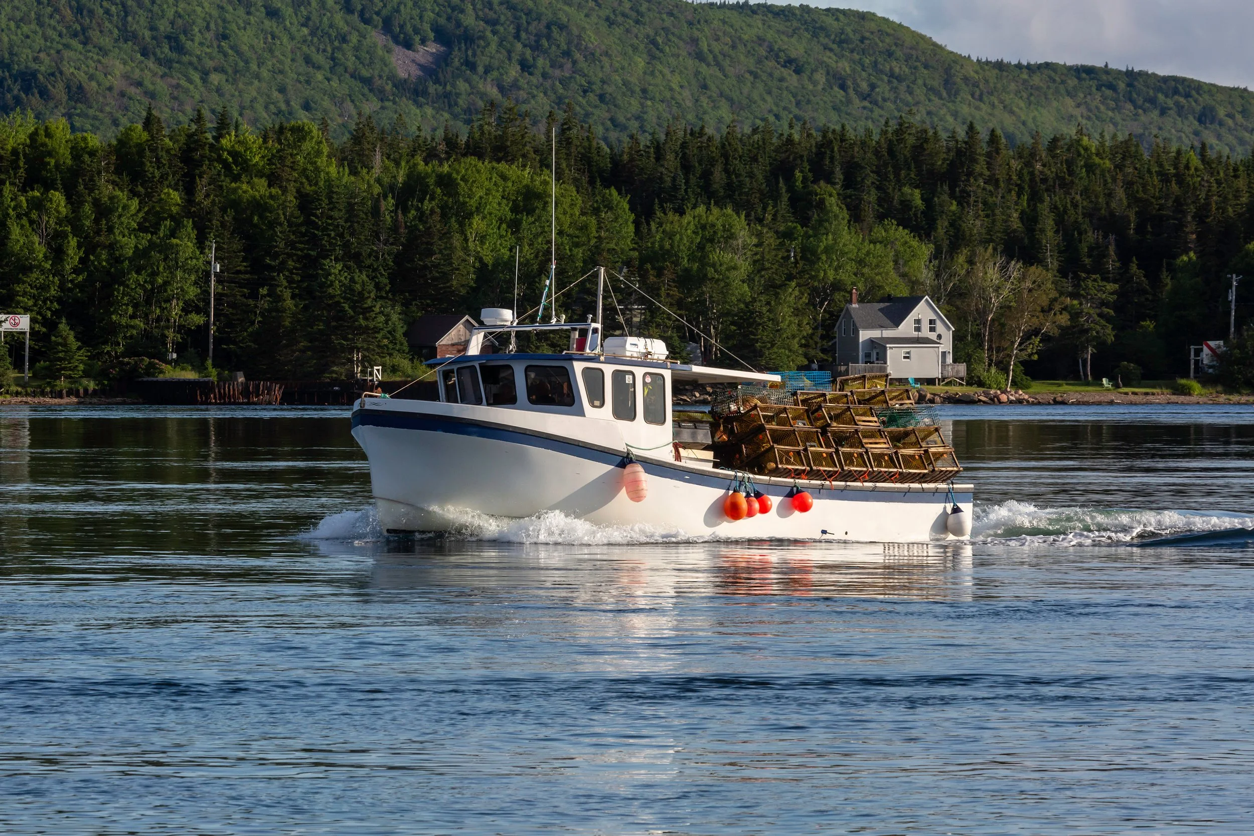 Lobster boat Maine.jpg