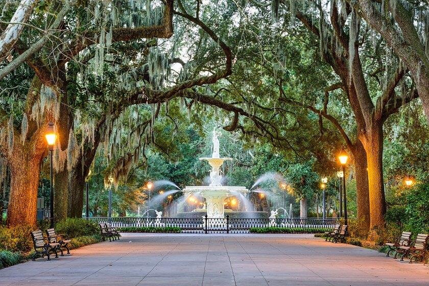 Savannah Fountain -.jpg