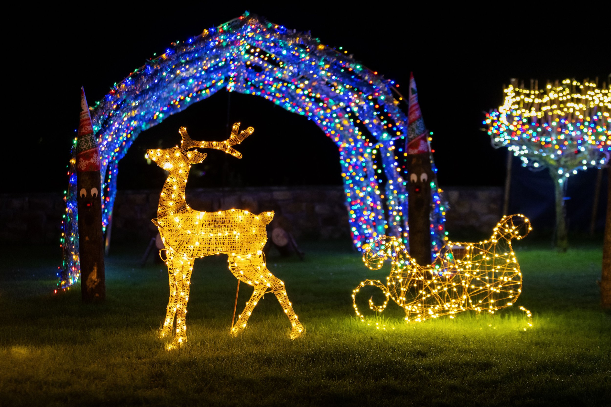 Christmas Lights Generic Image.jpg