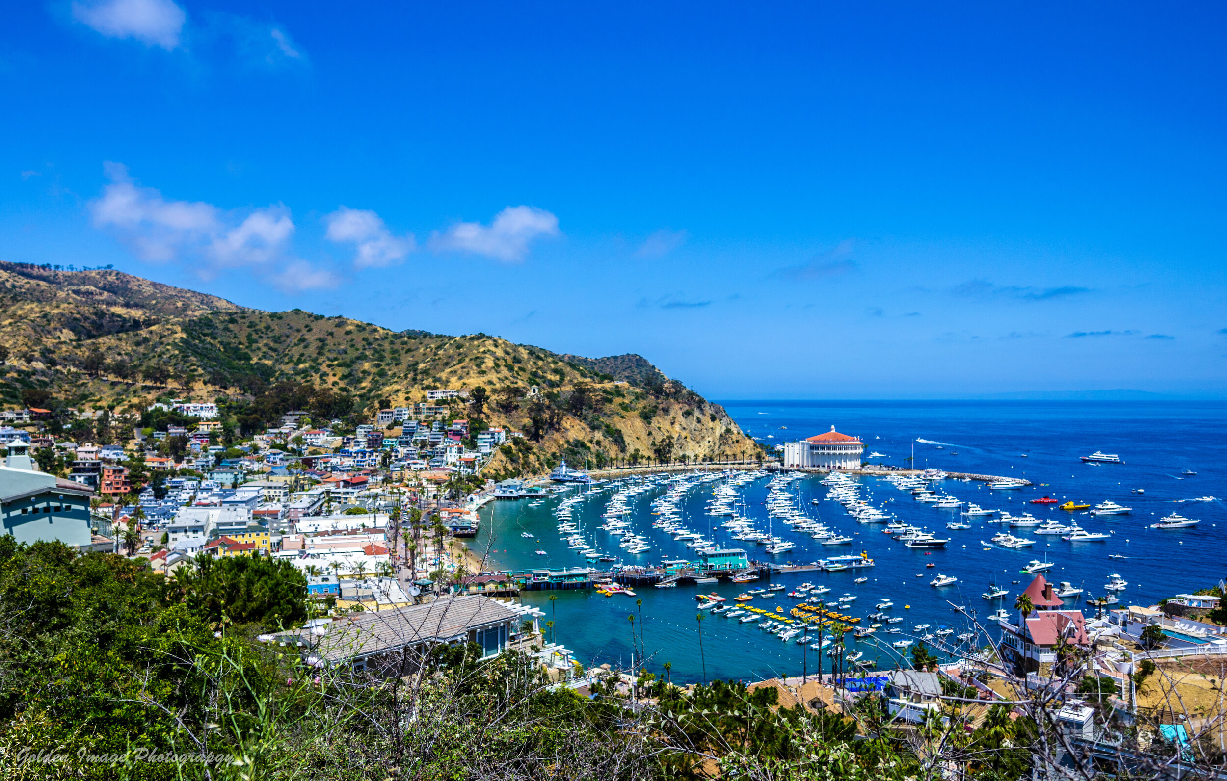 AdobeStock_161874022.jpeg