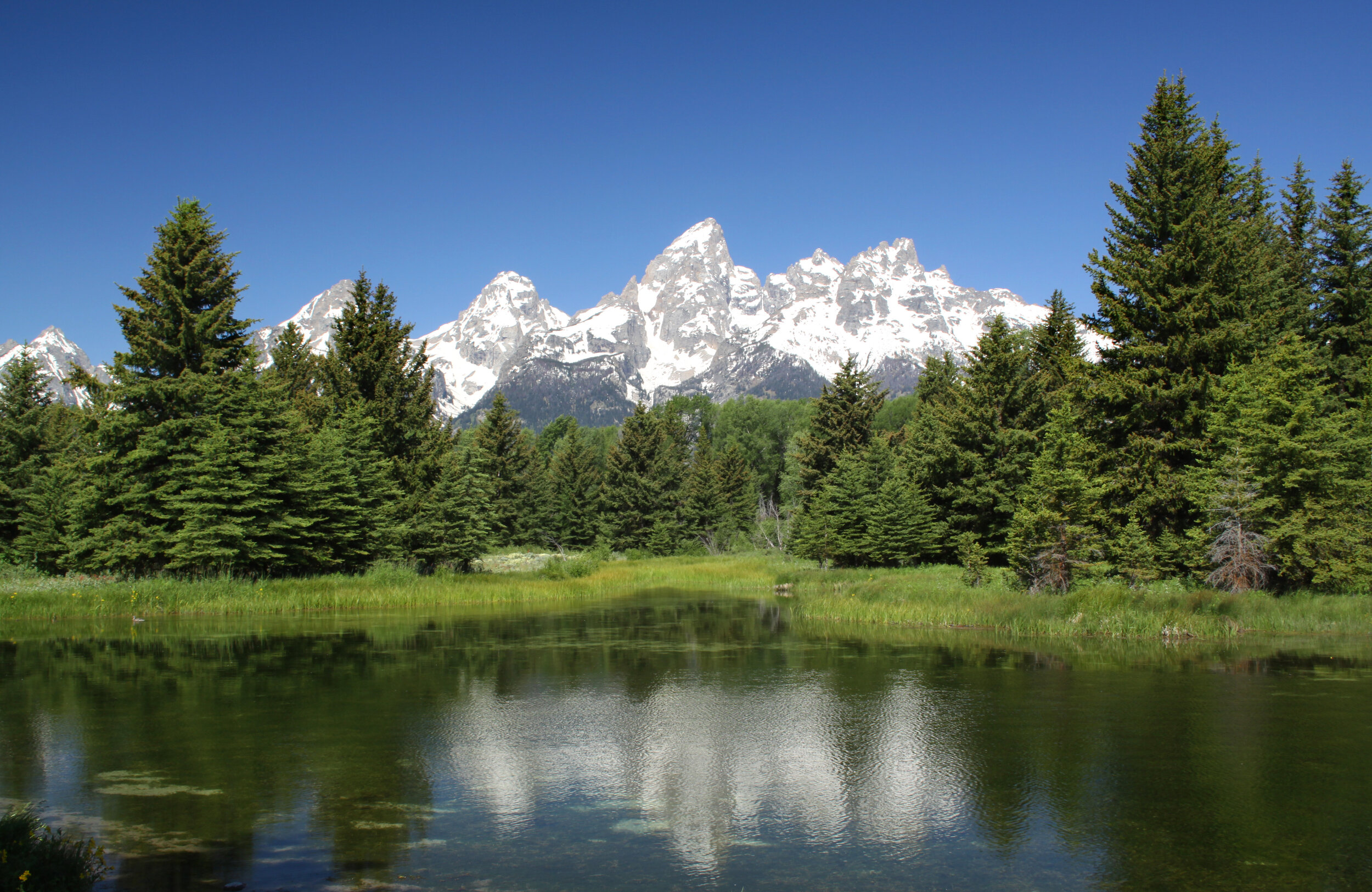 AdobeStock_34133303.jpeg