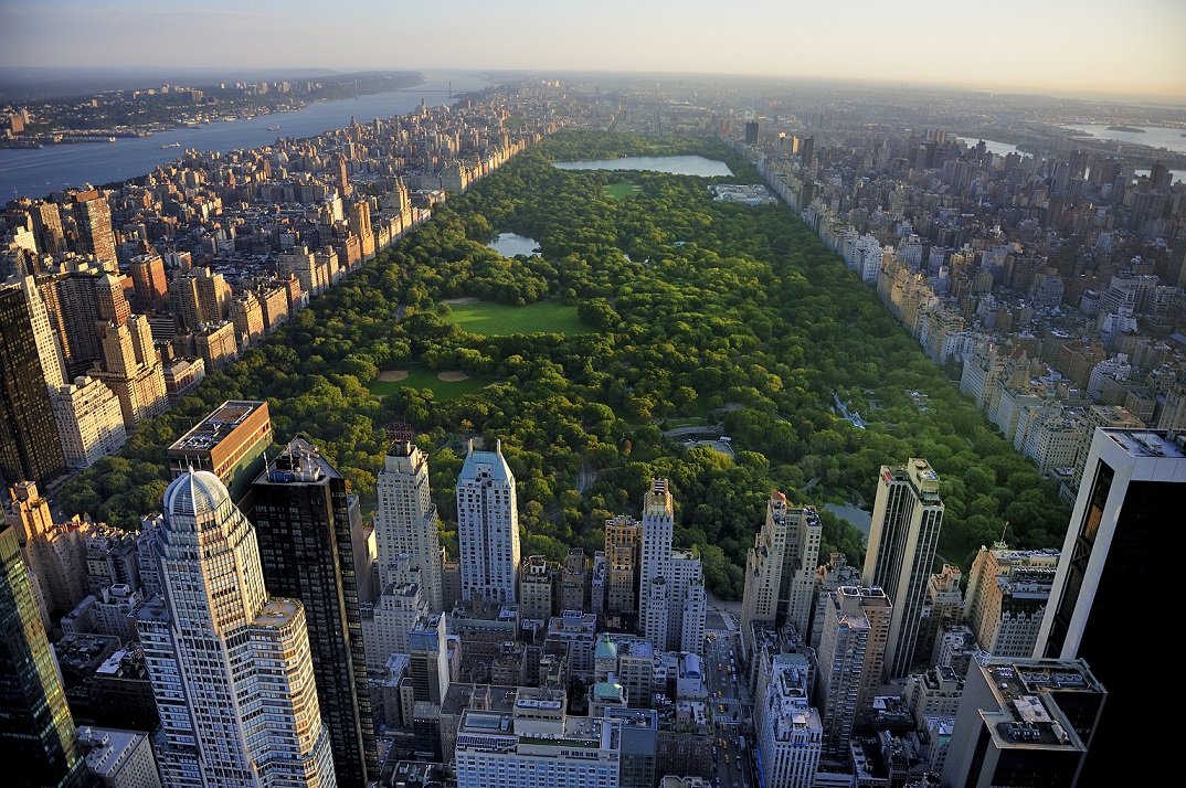 Central Park.jpg