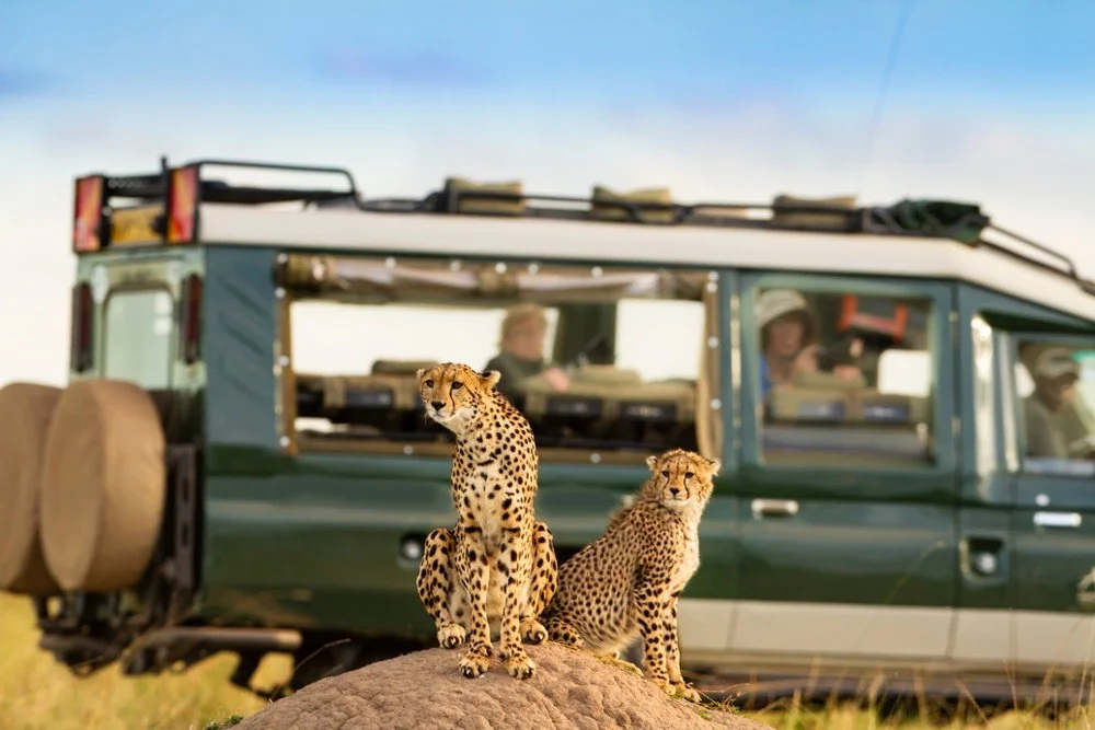 Masai Mara Game Reserve.jpg