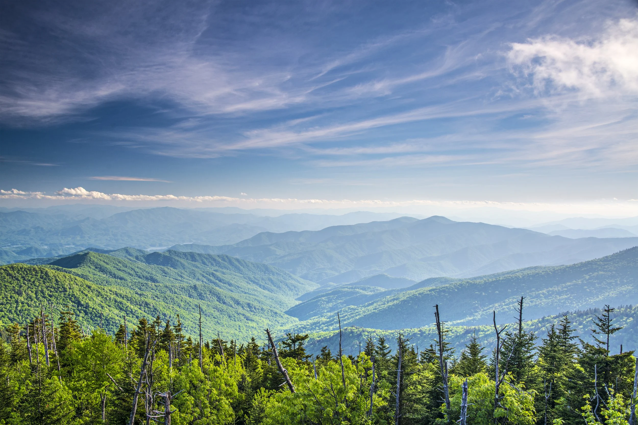 View from Clingmans Dome in Great Smoky Mountains .jpg