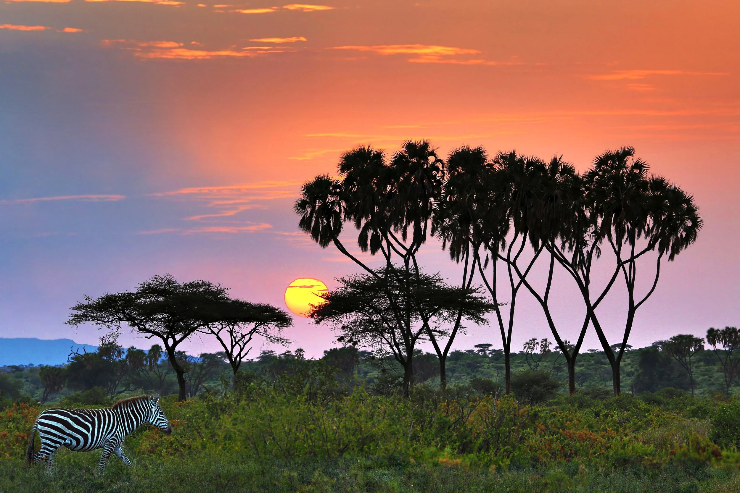 Samburu National Park.jpg