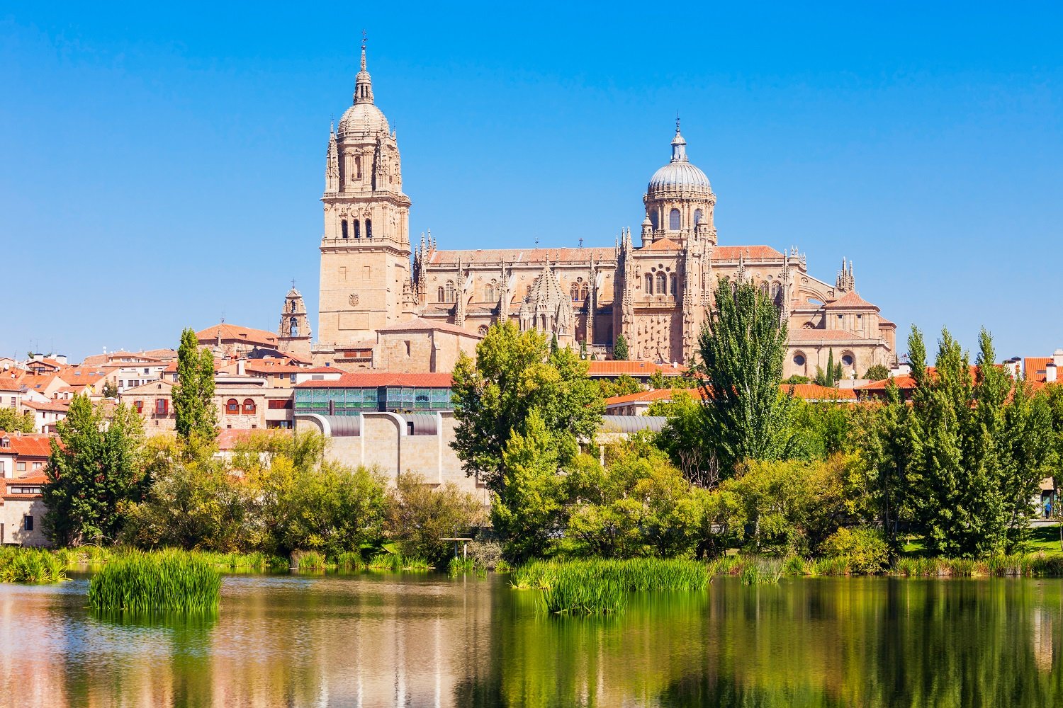 Salamanca resized.jpg