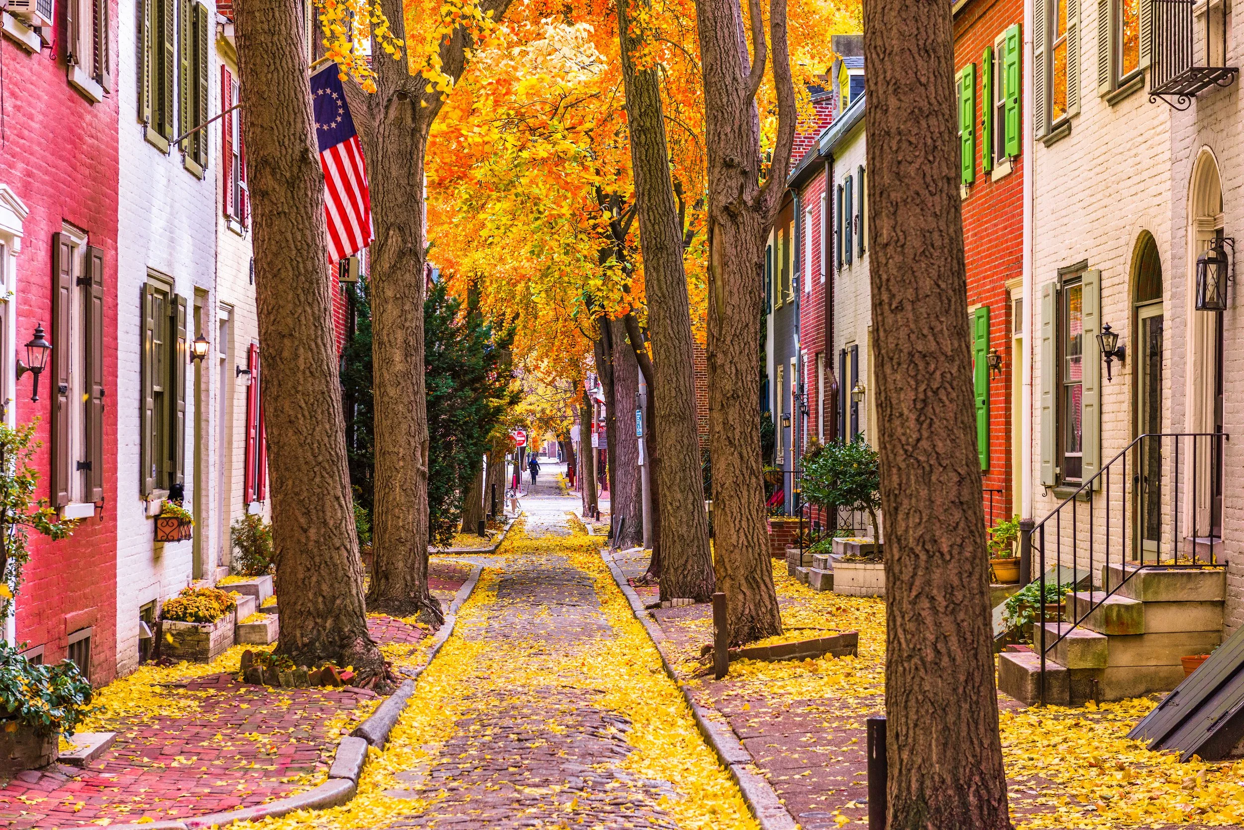 Philadelphia in fall.jpg