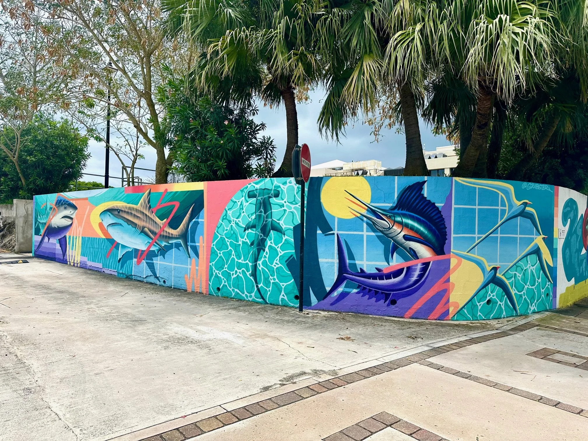 2025 Sharks, Etc Bermuda Walls