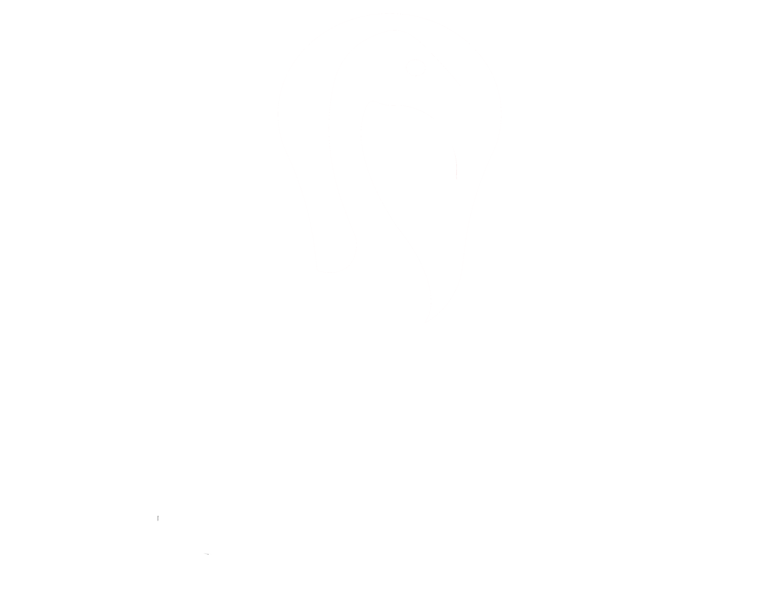 Signature Foundation 