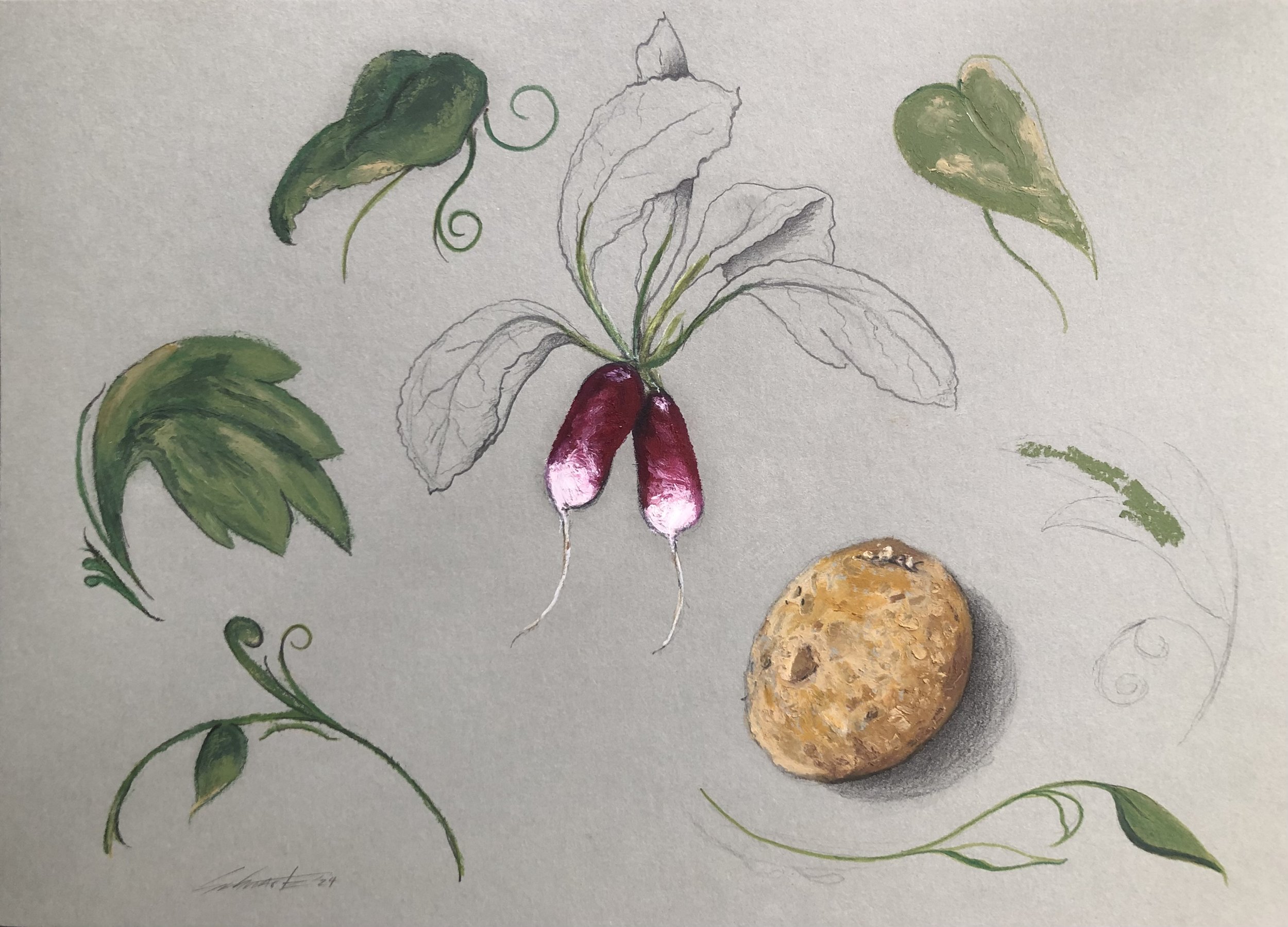 Fertile Ground: The Invisible Garden of Workflow