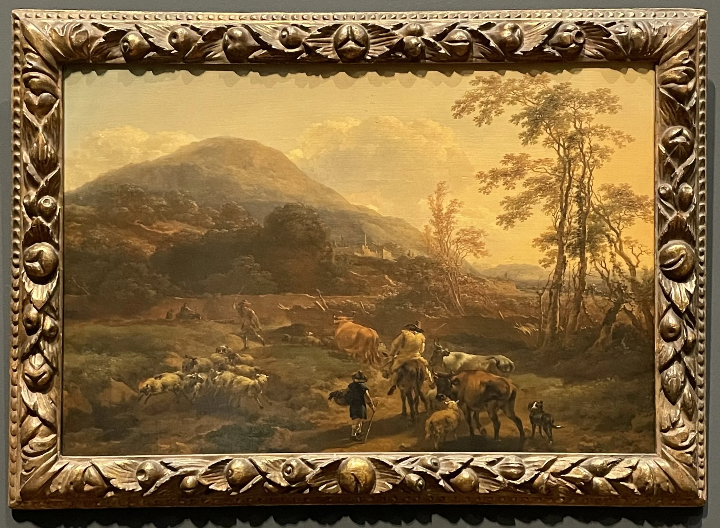 The Search Continues