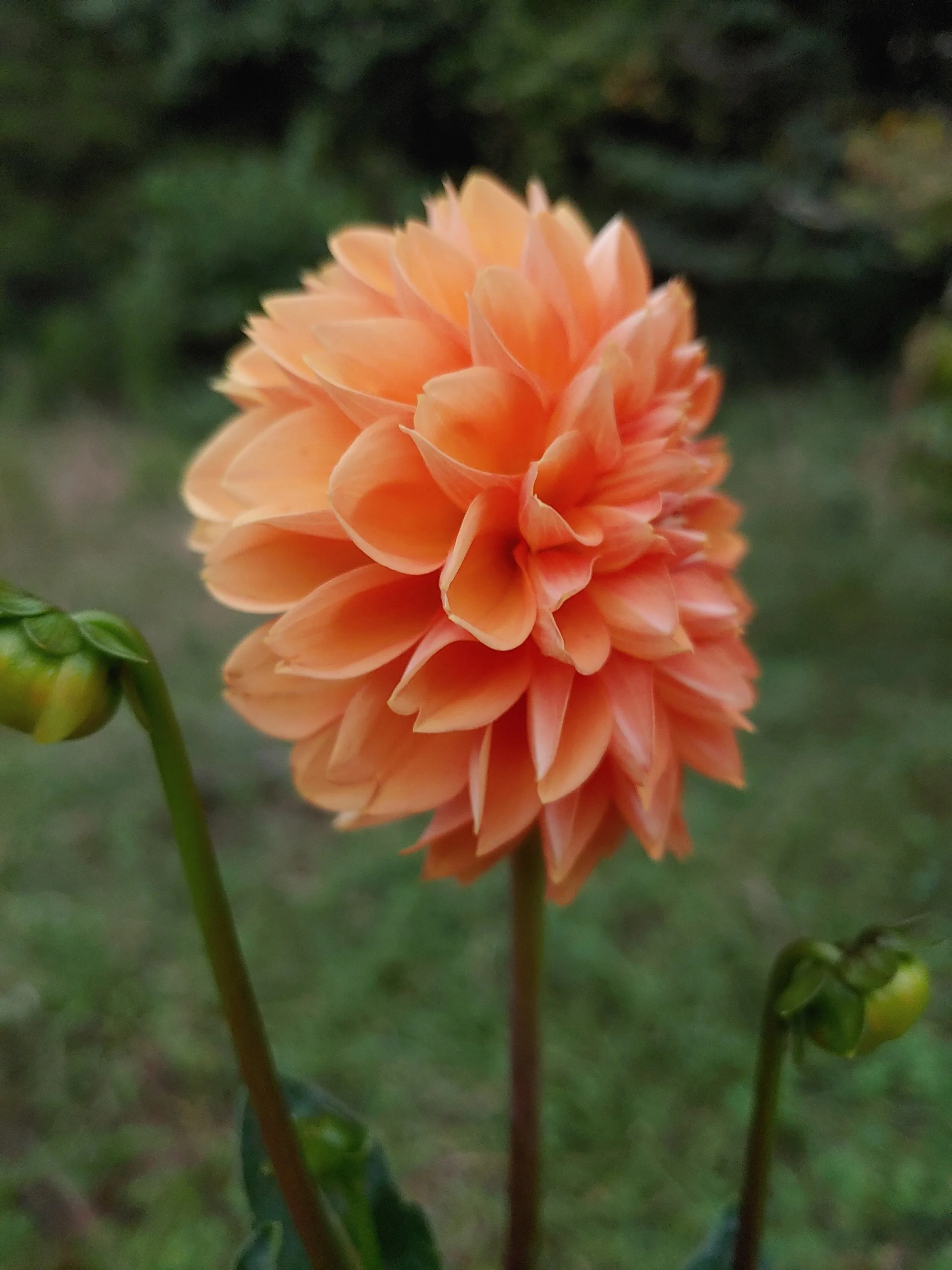 20220901_195332 (1).jpg