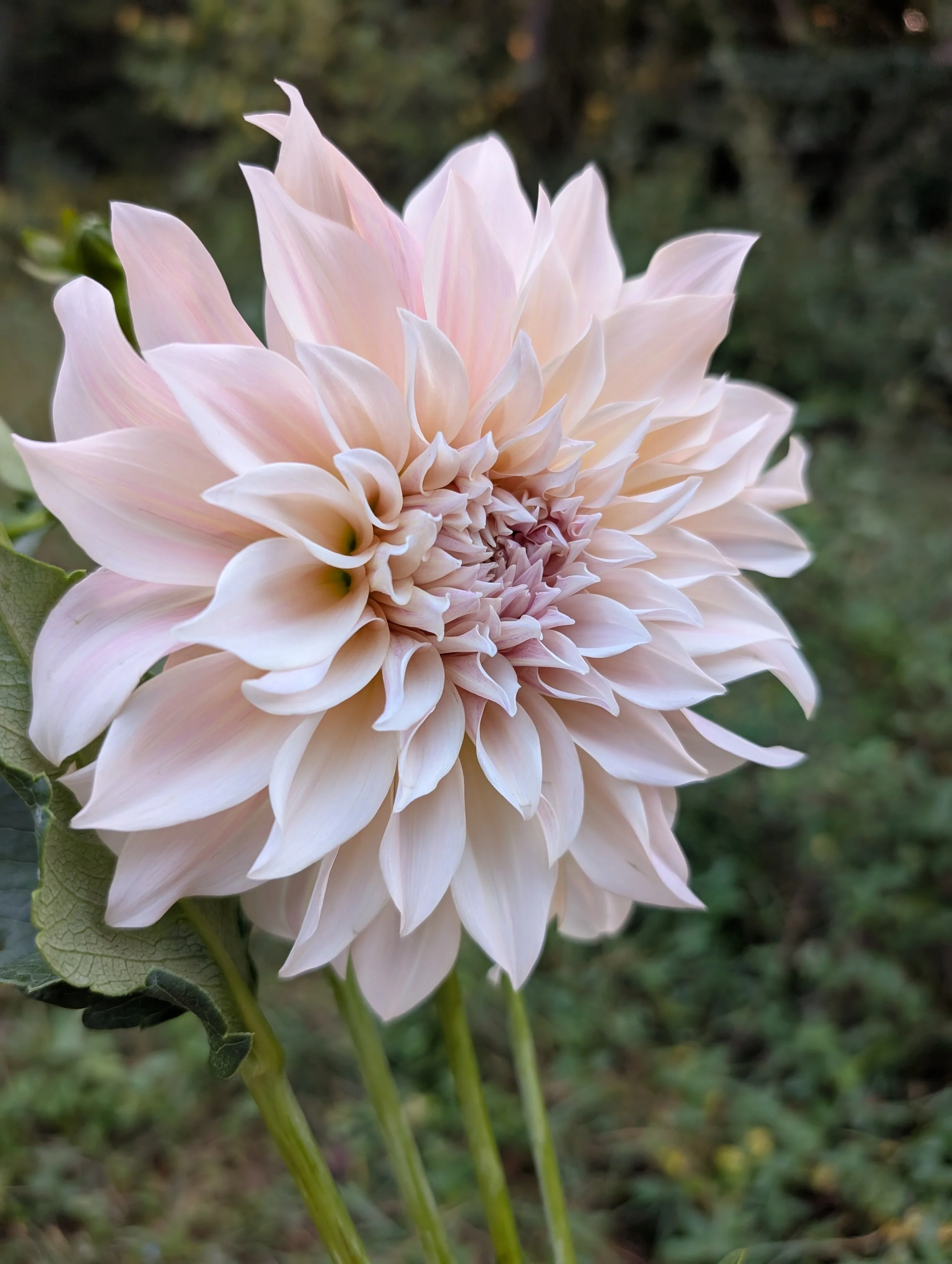 PXL_20250919_121138139 (1).jpg