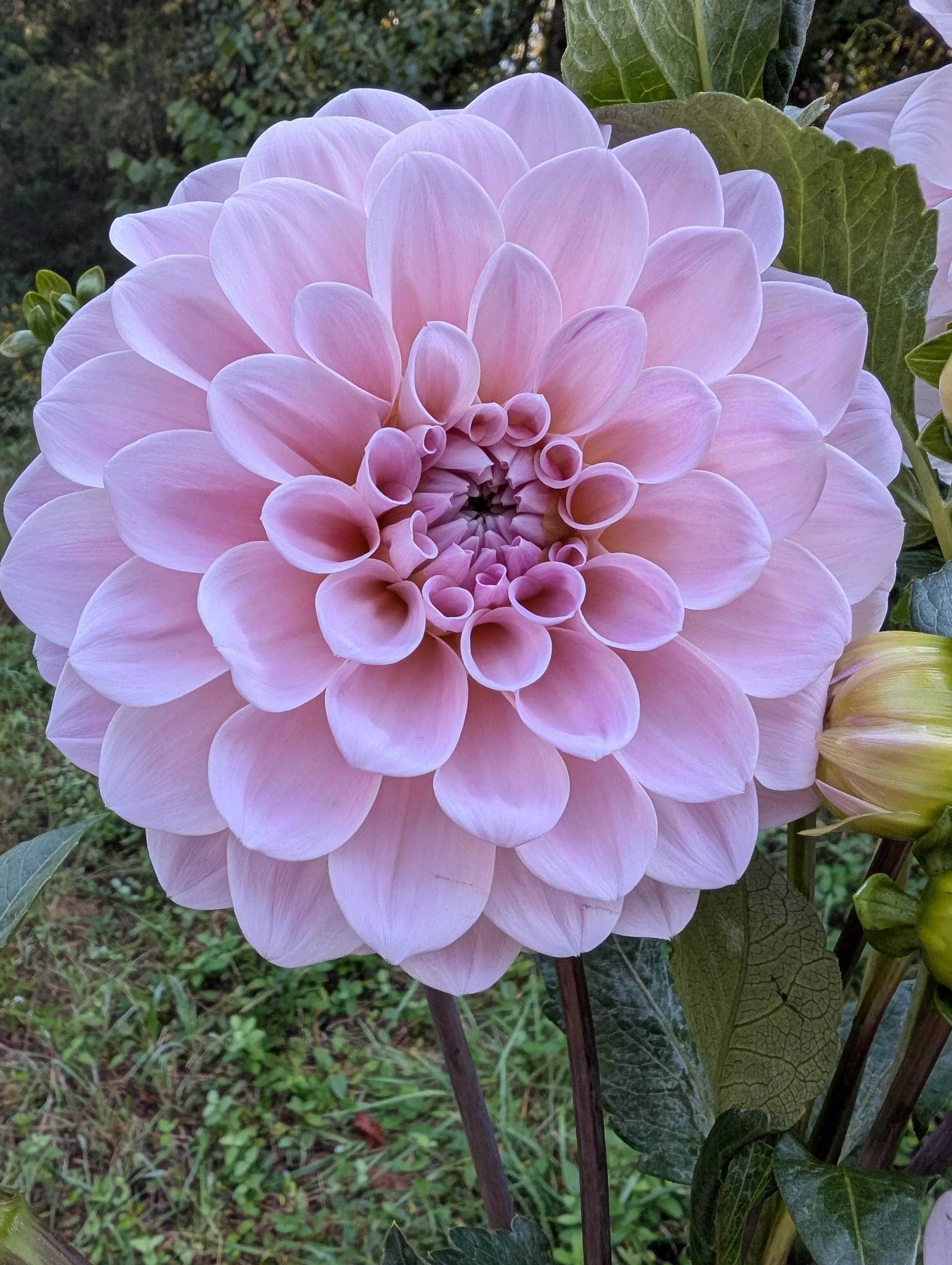 PXL_20250910_143310089 (2).jpg