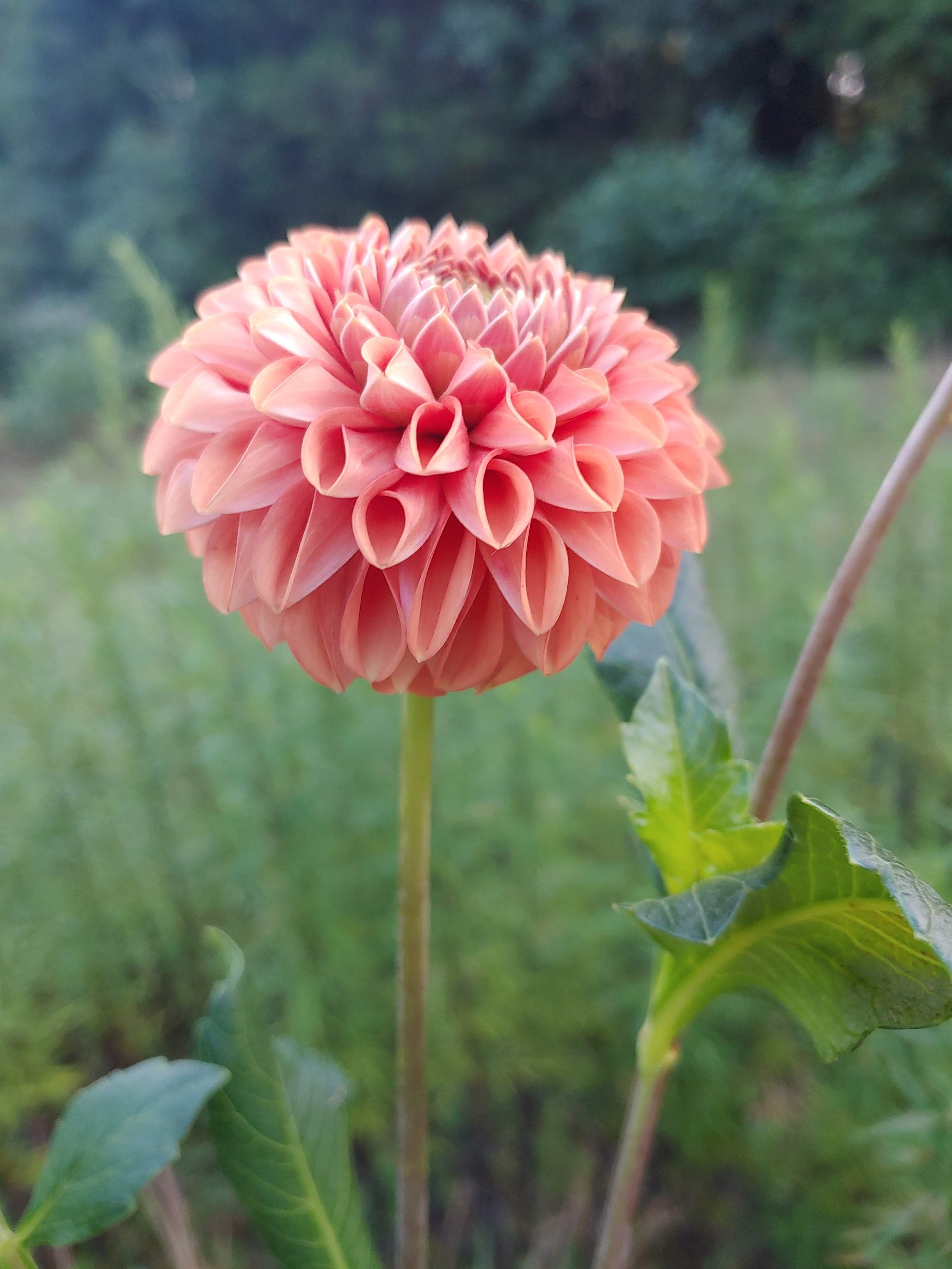 20220824_081723 (1).jpg