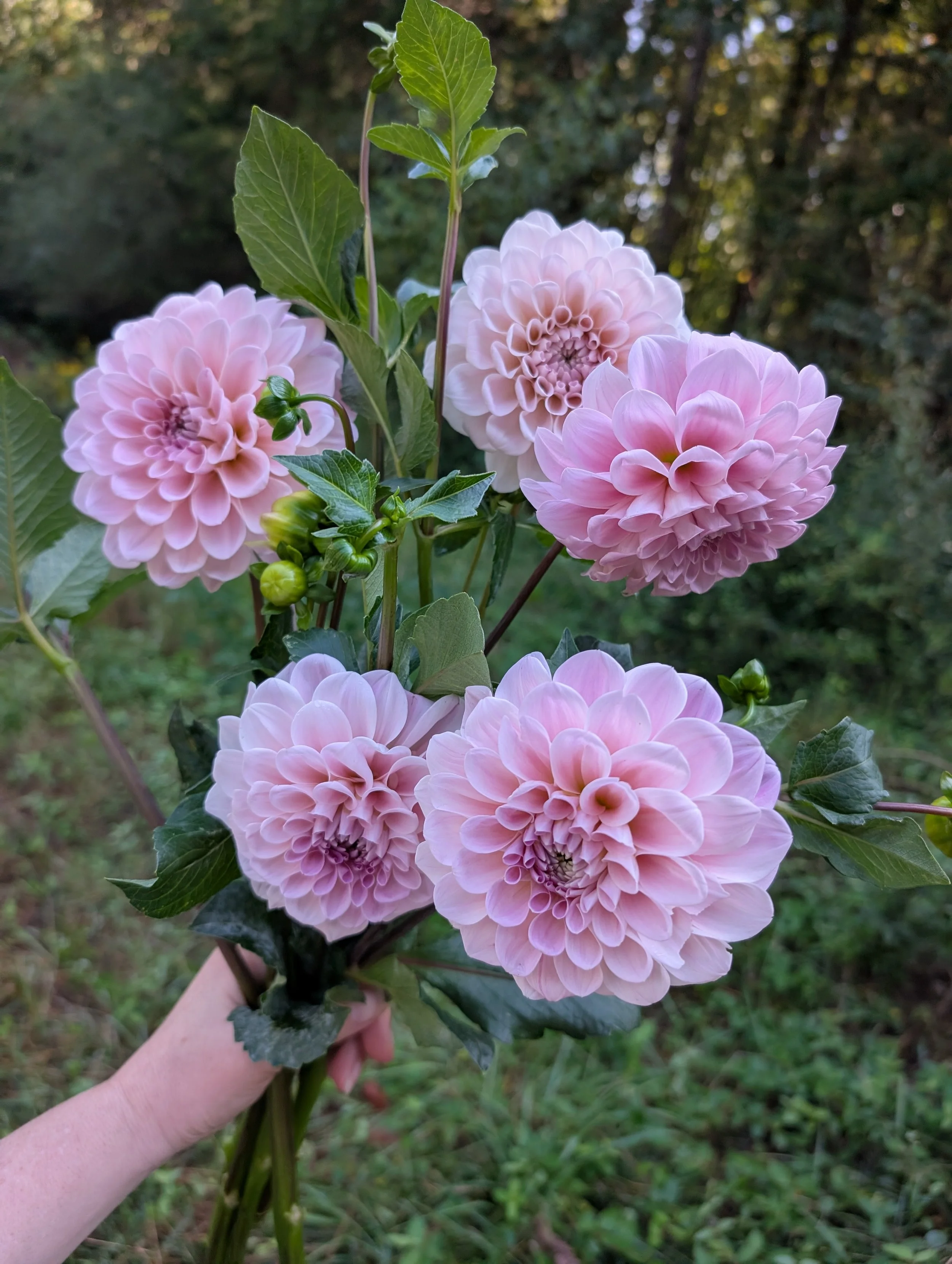 PXL_20250910_143313044 (2).jpg