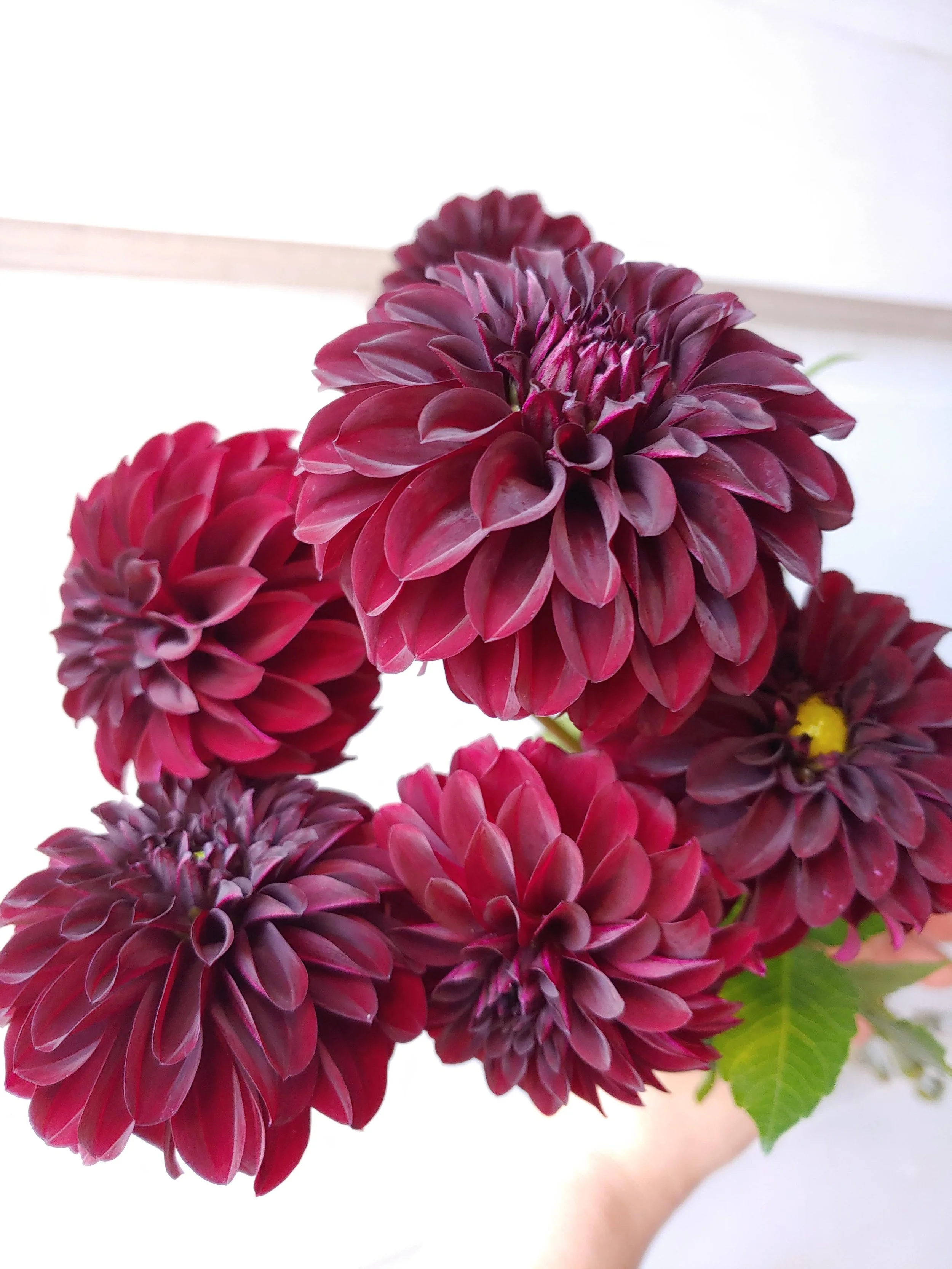 20191002_094501 (3).jpg