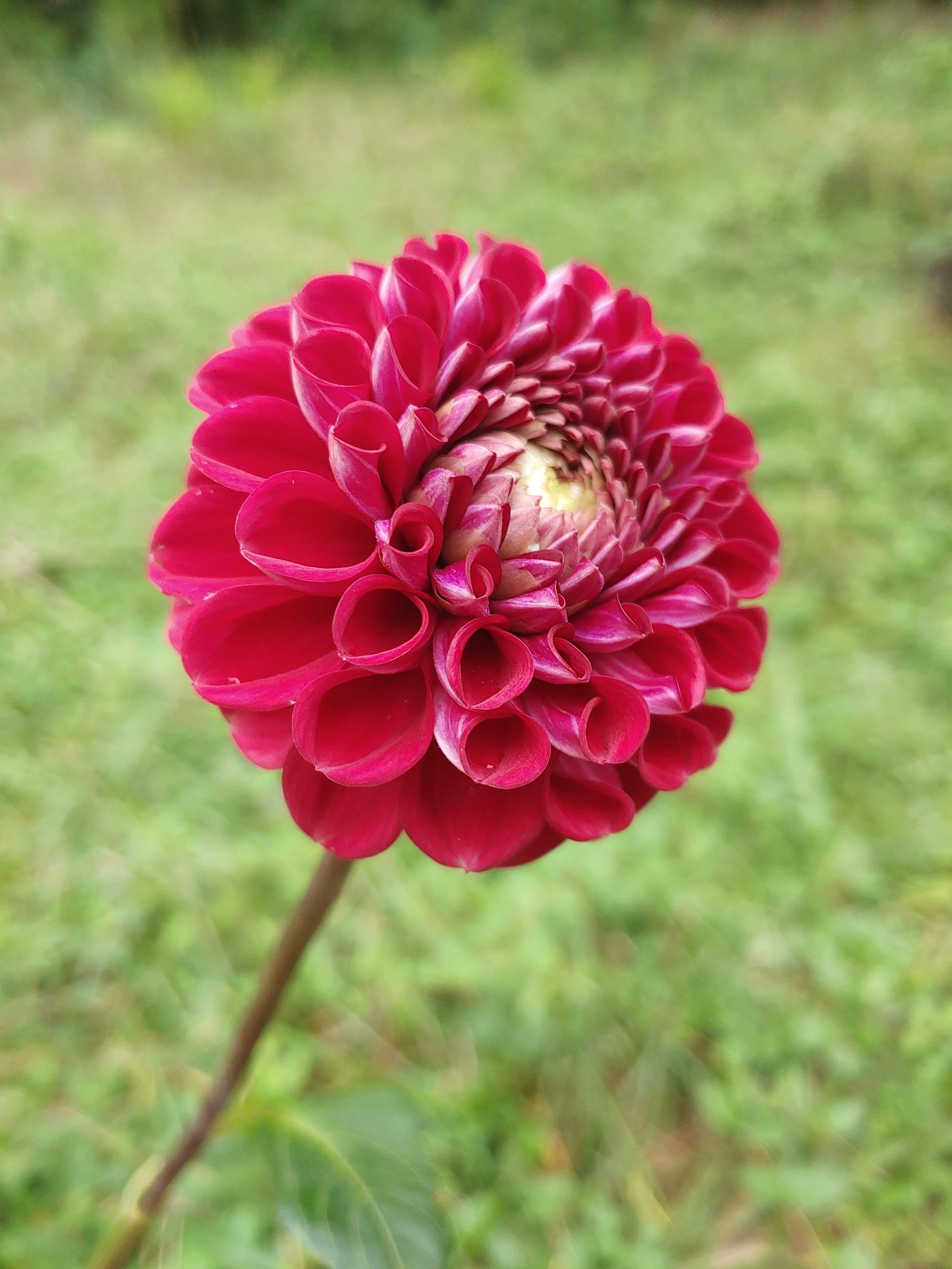 20230830_151605 (2).jpg