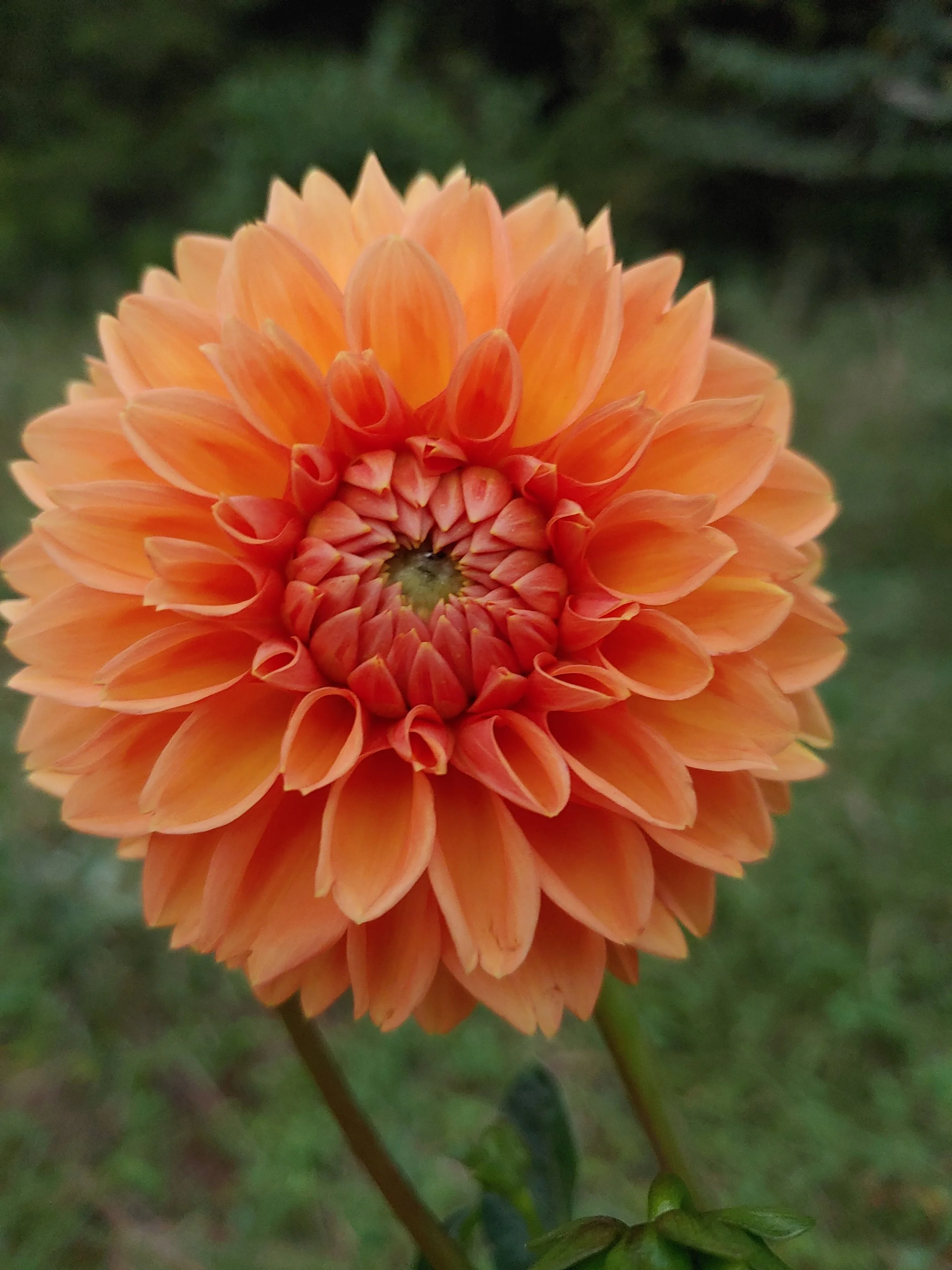 20220901_195321 (1).jpg