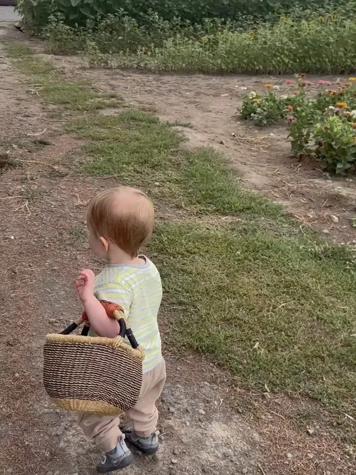 A little bit of work, a little bit of life 🧺 🍂 

While everyone else is winding down, we&rsquo;re ramping up. Non-stop travel to see friends and family, major design projects underway, and a second birthday to celebrate&mdash;all happening in the n