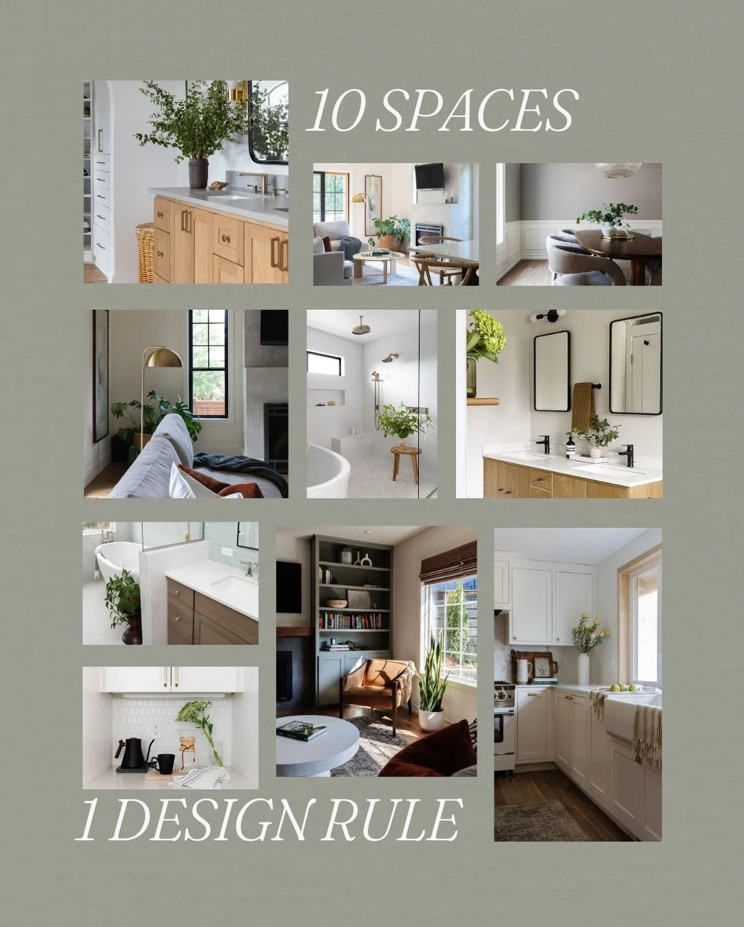 There&rsquo;s a transformative quality that plants bring to a space, something beyond aesthetics alone. It&rsquo;s the difference between a room that&rsquo;s simply designed and one that truly breathes, that feels connected to the natural world even 