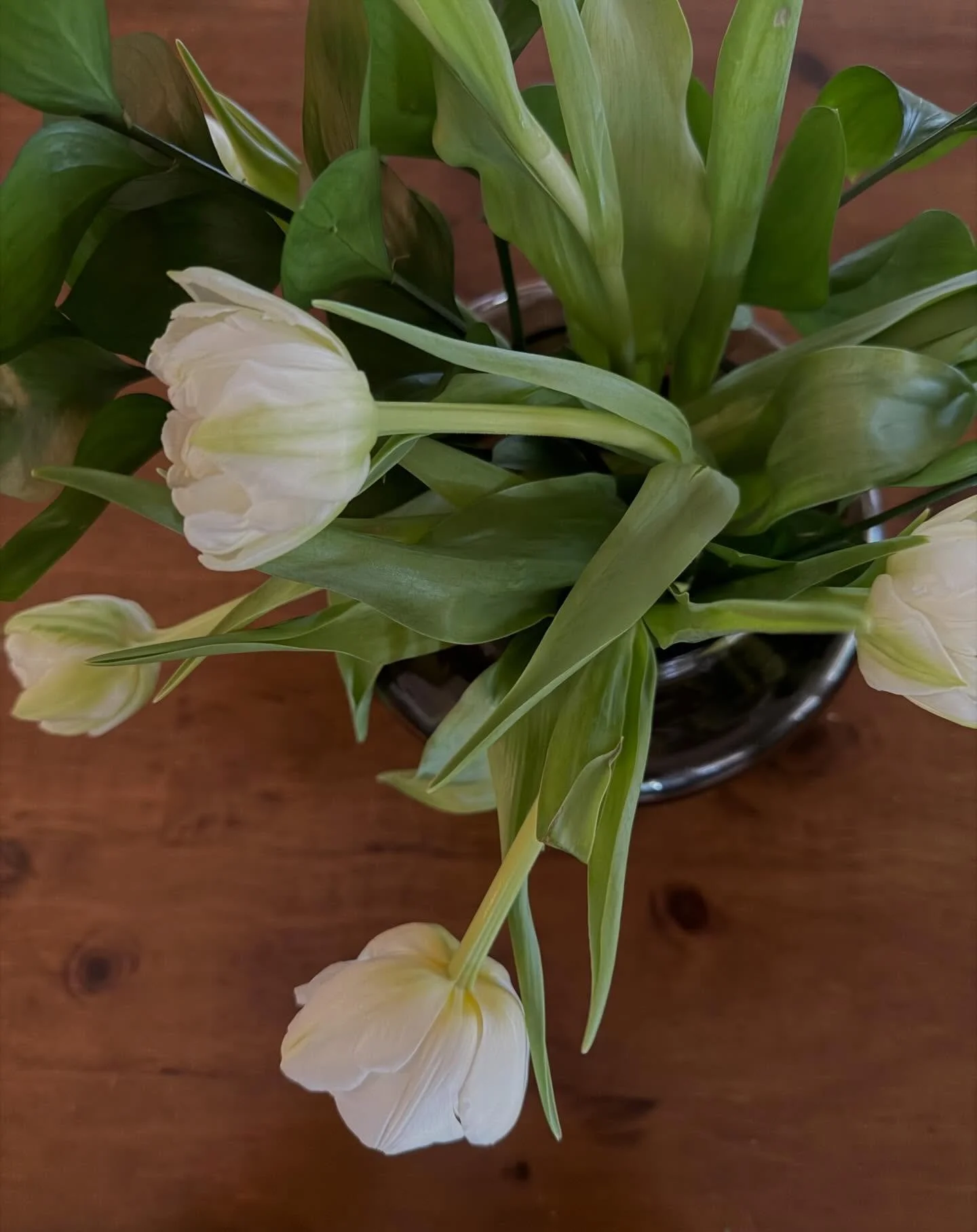 I wouldn&rsquo;t exactly call myself a non-toxic girlie&hellip; but spring always gives me a boost for a few cleaner swaps around the house 🧹

Here are my top 3: 
1. A better air freshener - with a kiddo, dogs and a fish forward menu sometimes we ne