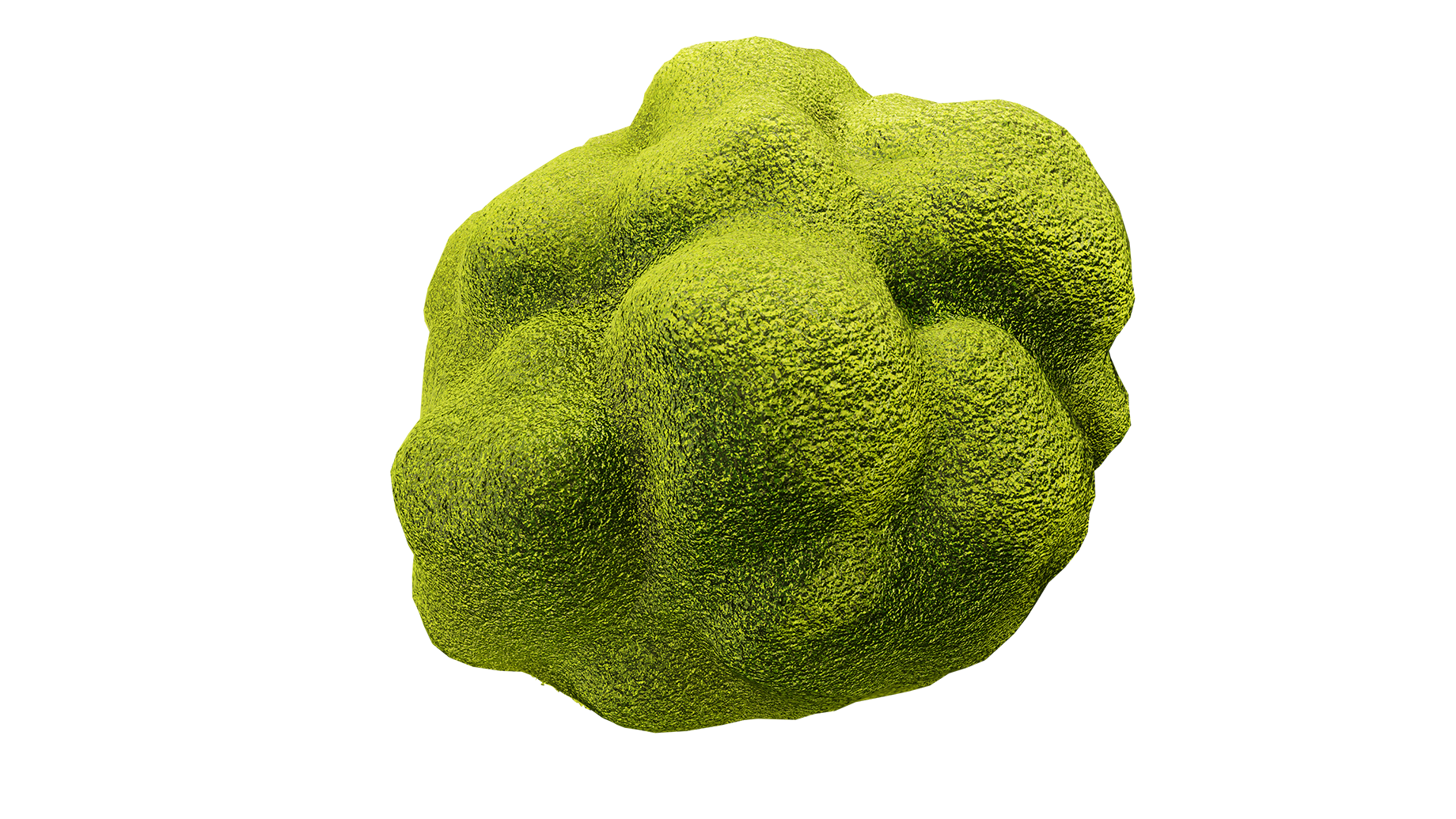 BlenderRender_MossClump.png