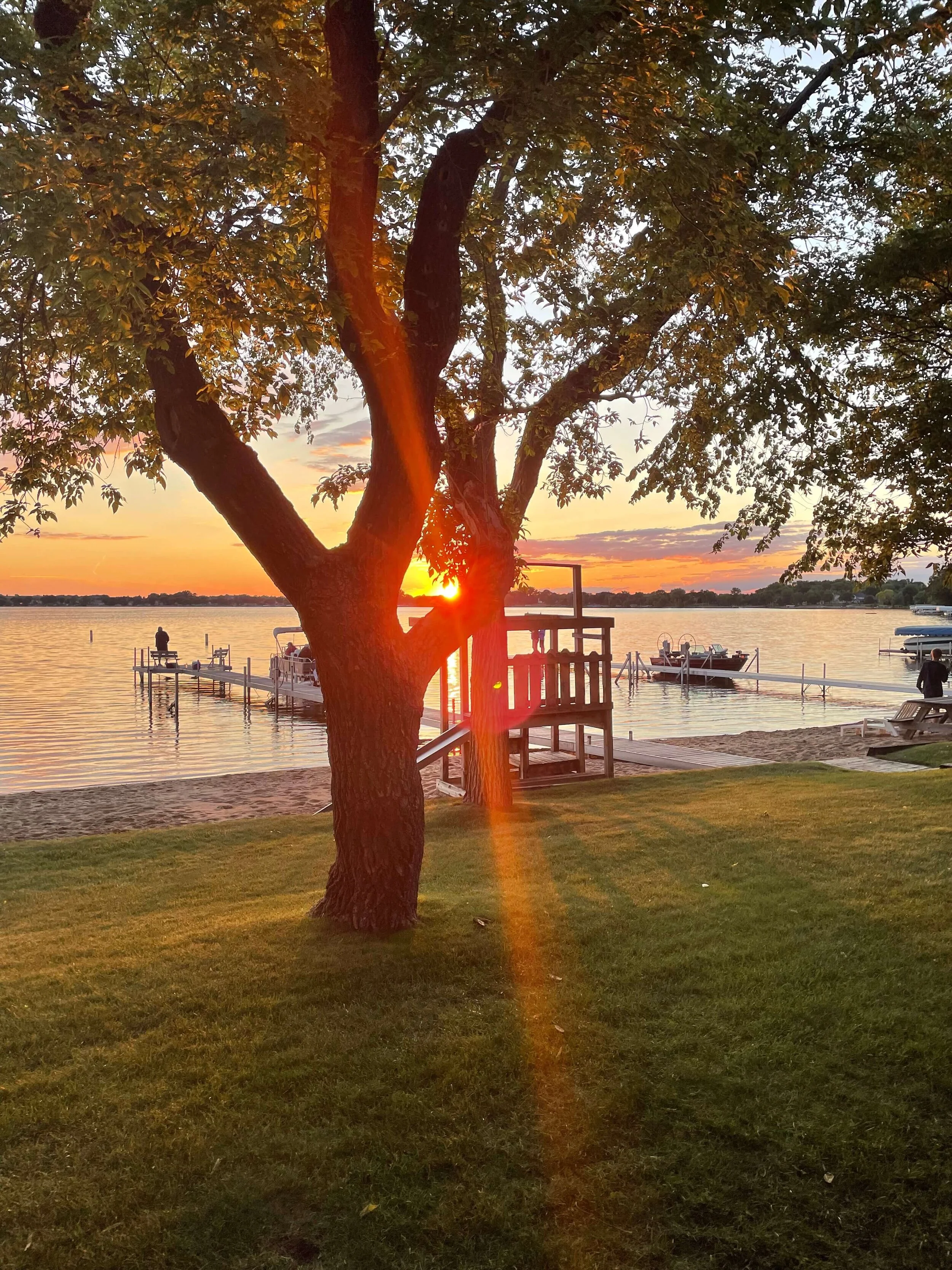 Sunset over a lake with a large tree in the foreground, a wooden dock, boats, and people enjoying the view.