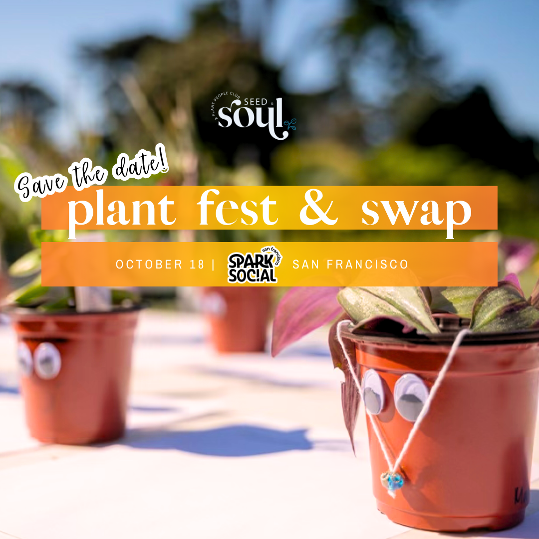 Plant Fest and Swap 2025